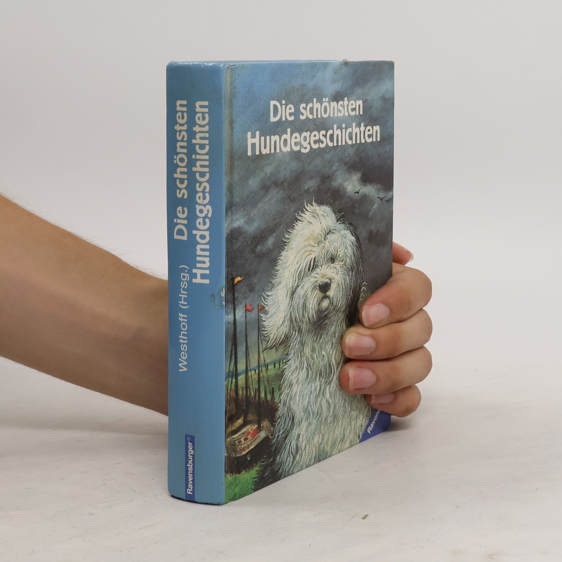 kolektiv Die schönsten Hundegeschichten