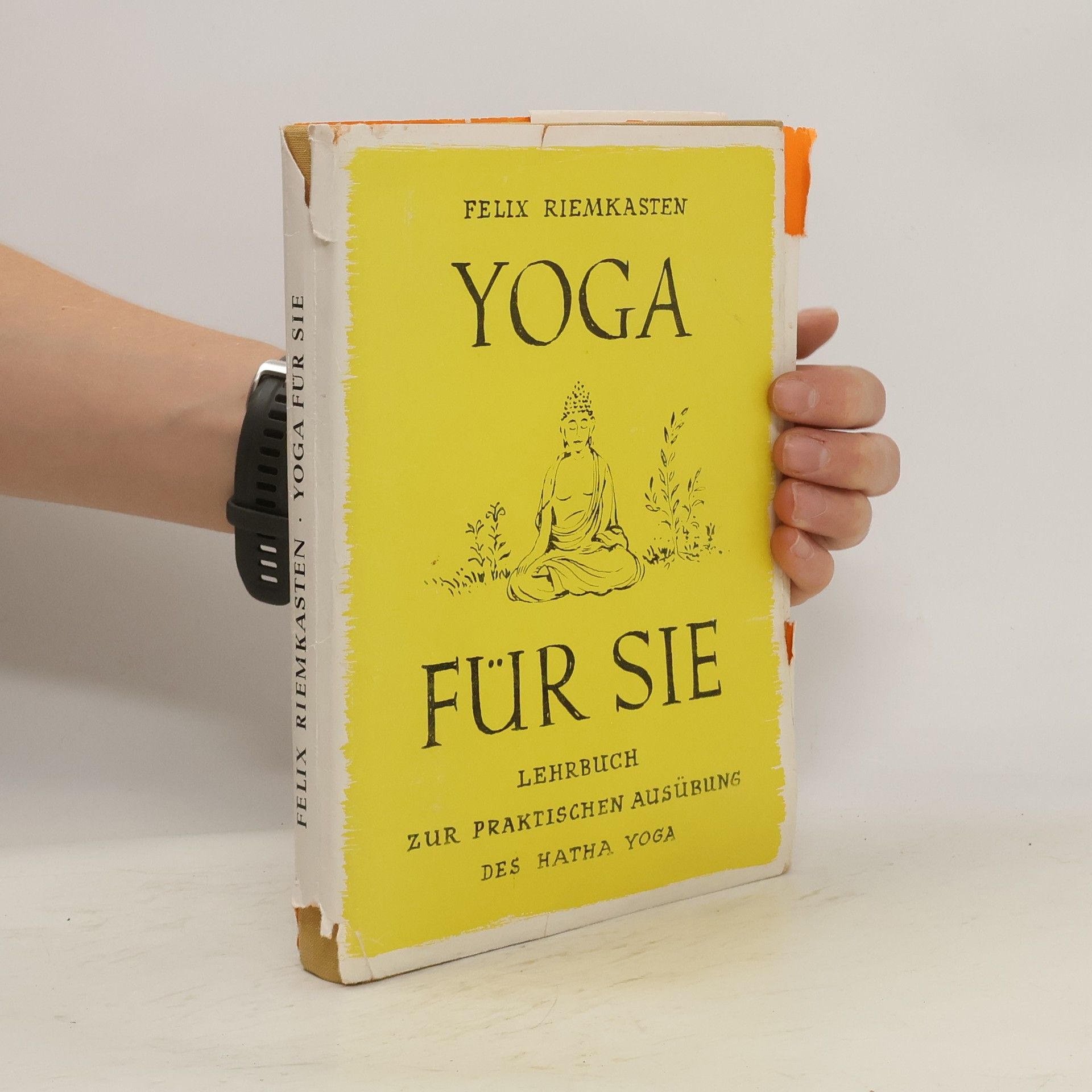 Felix Riemkasten Yoga für Sie. Lehrbuch zur praktischen Ausübung des Hatha-Yoga