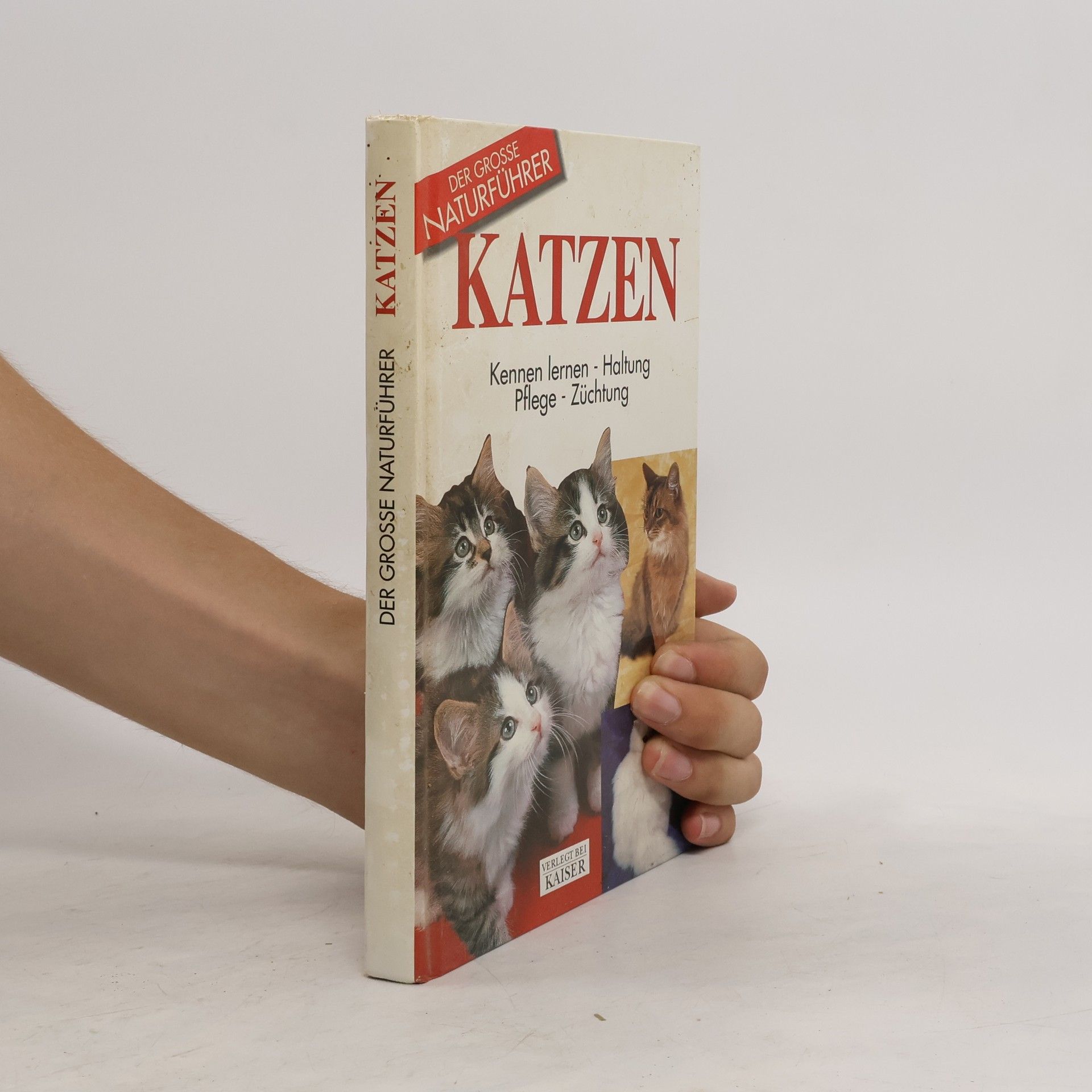 Autorenkollektiv Katzen. Kennen lernen, Haltung, Pflege, Züchtung