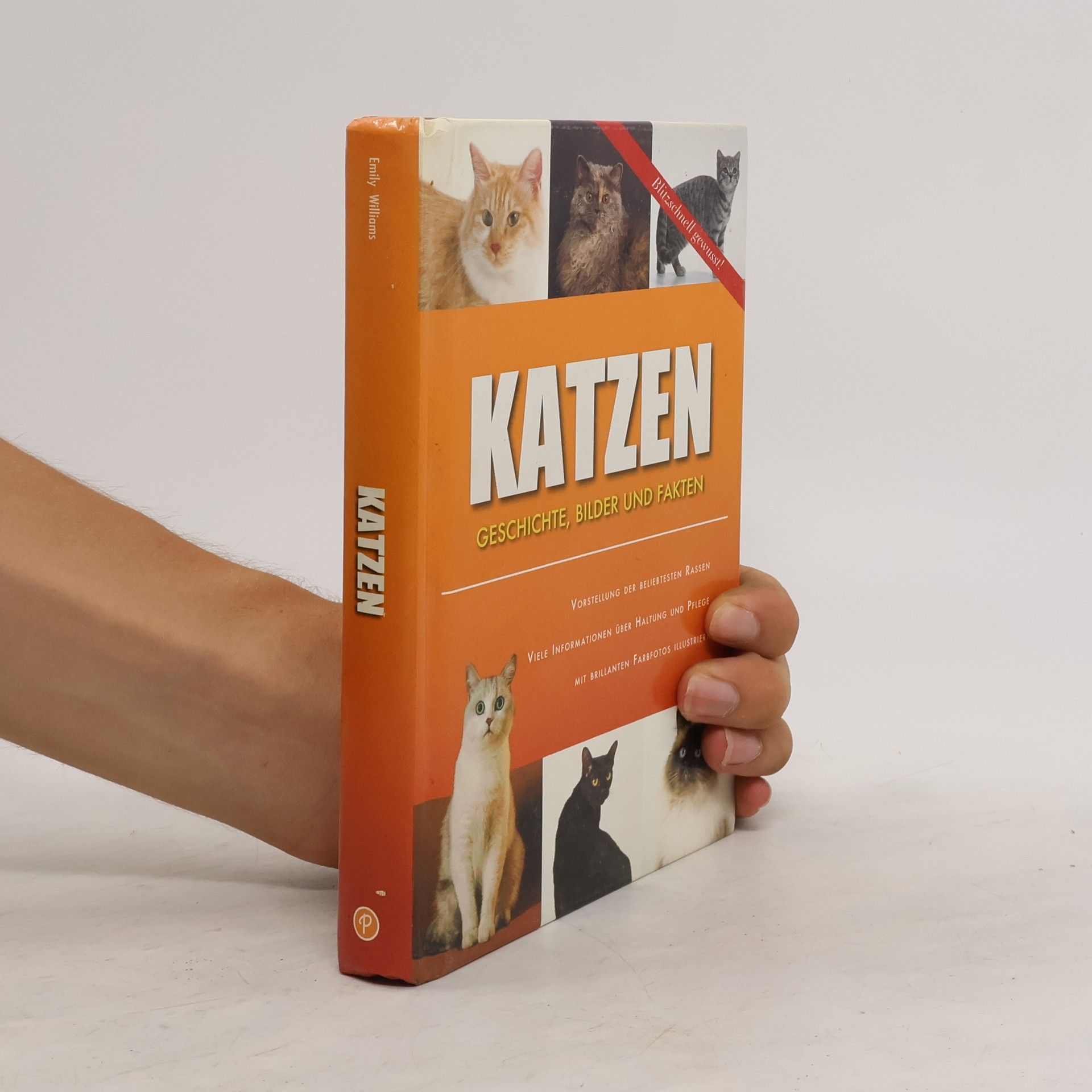 kolektiv Katzen