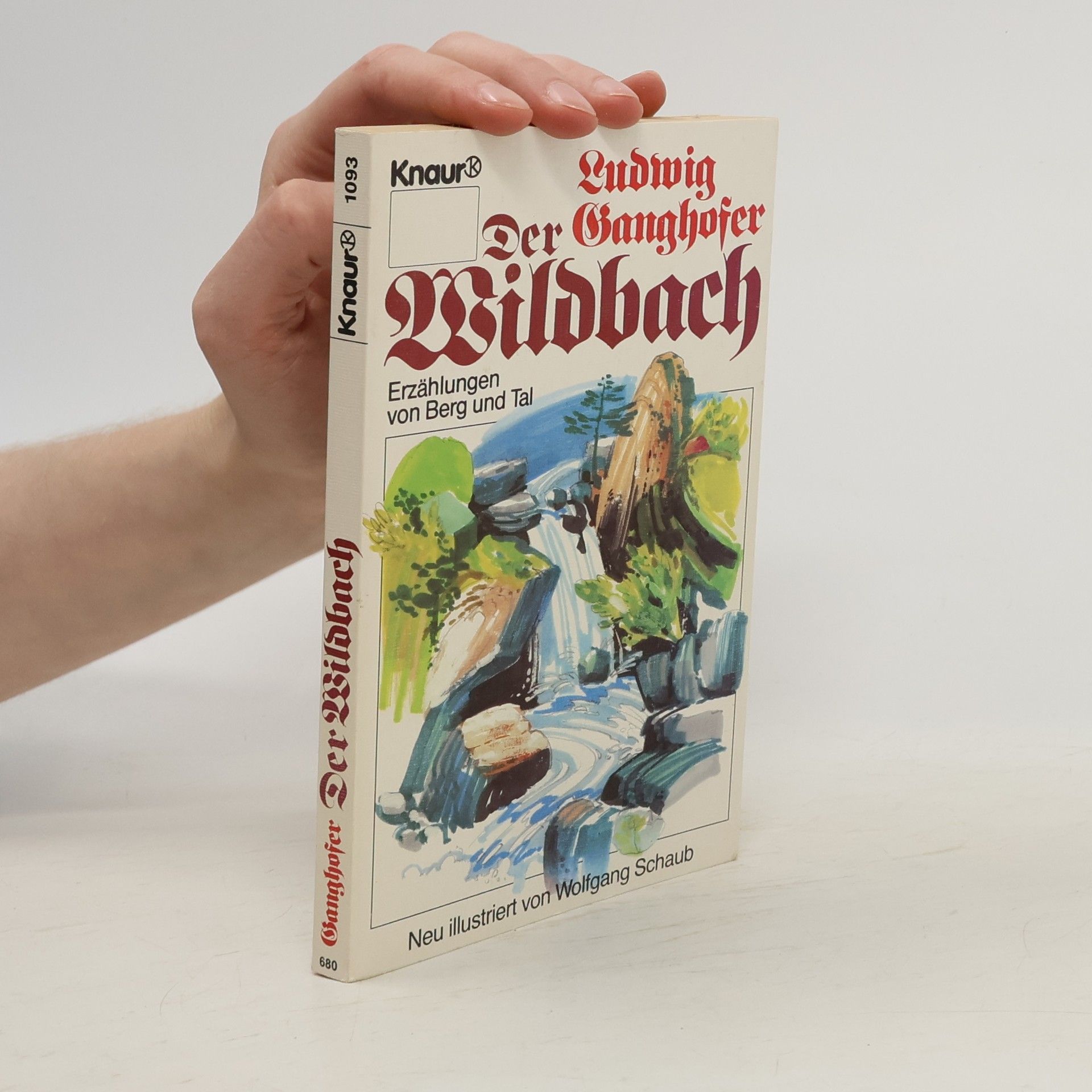 Ludwig Ganghofer Der Wildbach