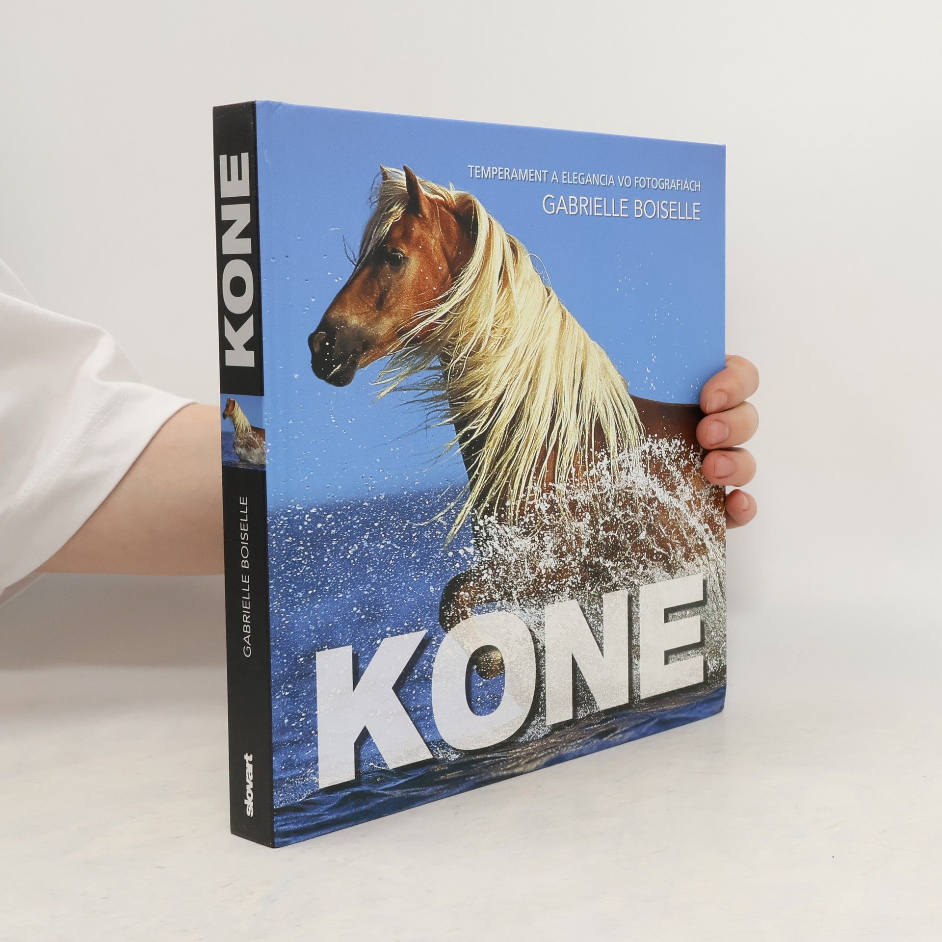 Gabriele Boiselle Kone