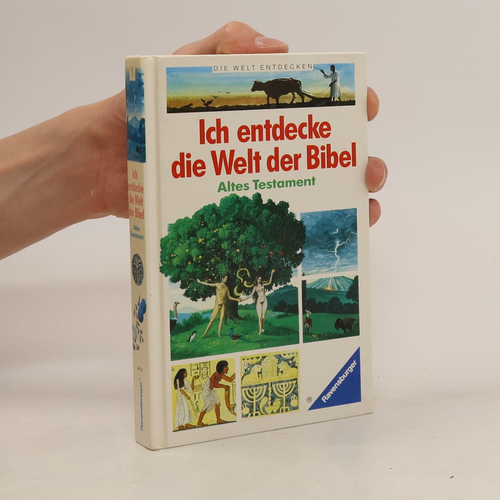 Collective Ich entdecke die Welt der Bibel