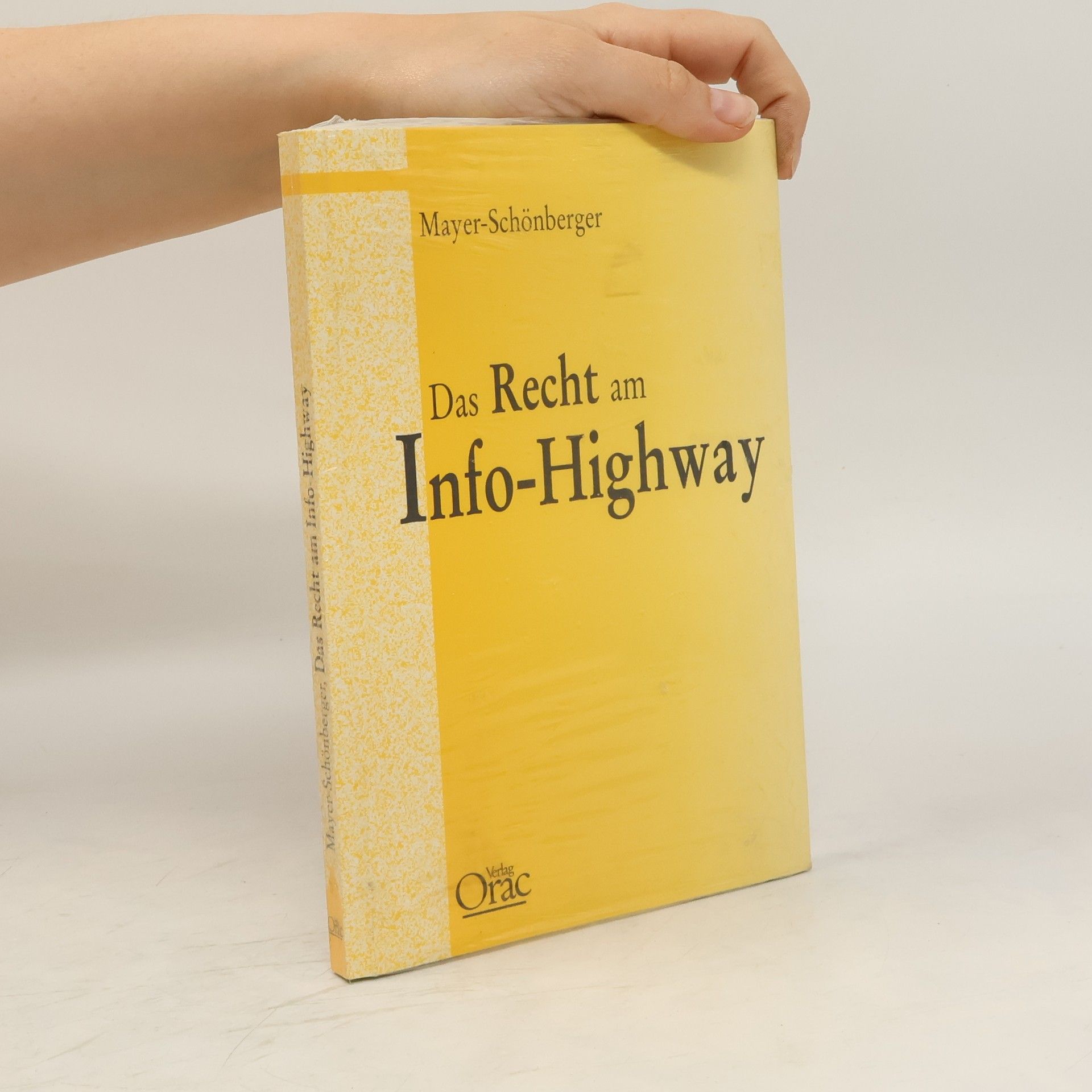 Viktor Mayer-Schönberger Das Recht am Info-Highway