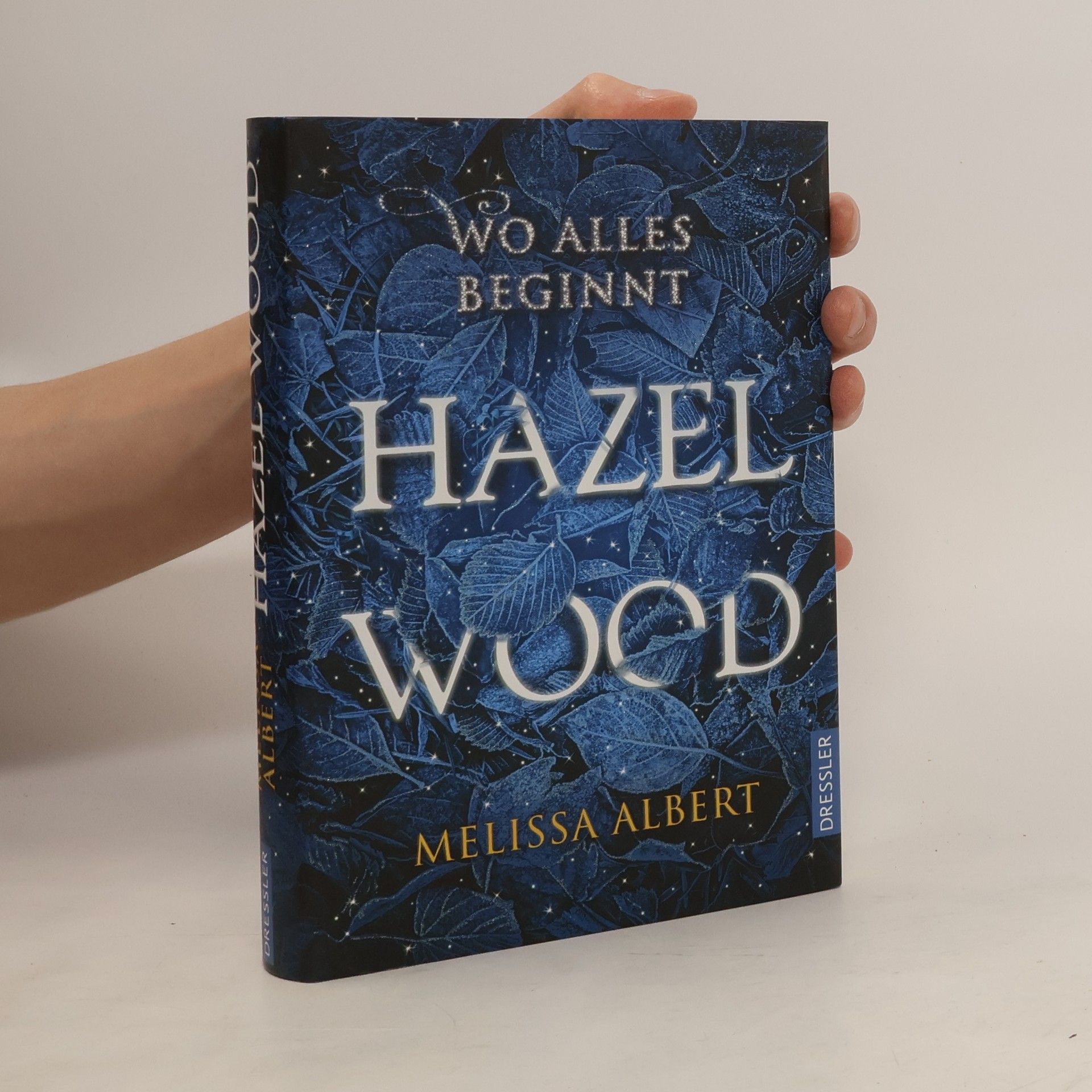 Melissa Albert Hazel Wood: Wo alles beginnt