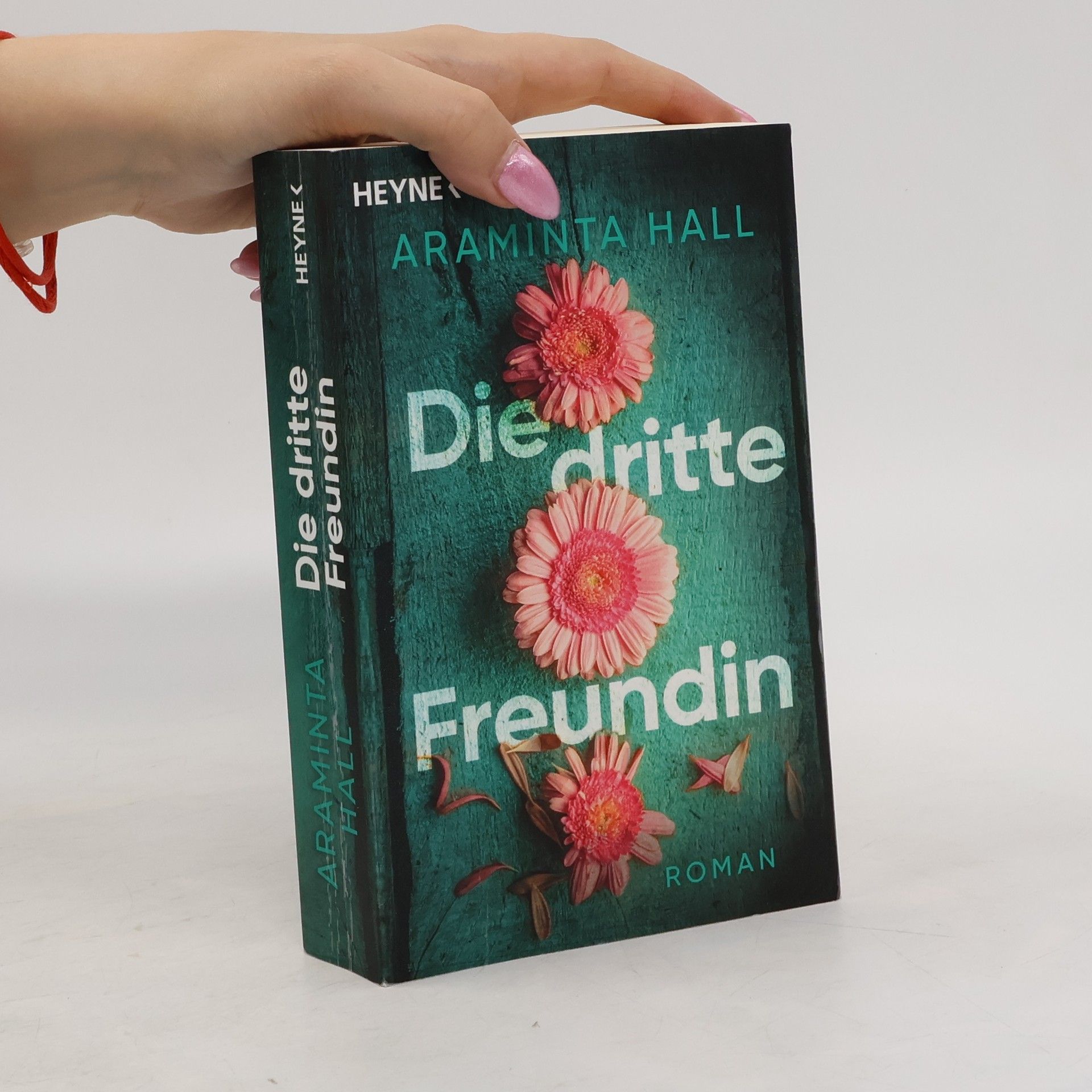 Araminta Hall Die dritte Freundin
