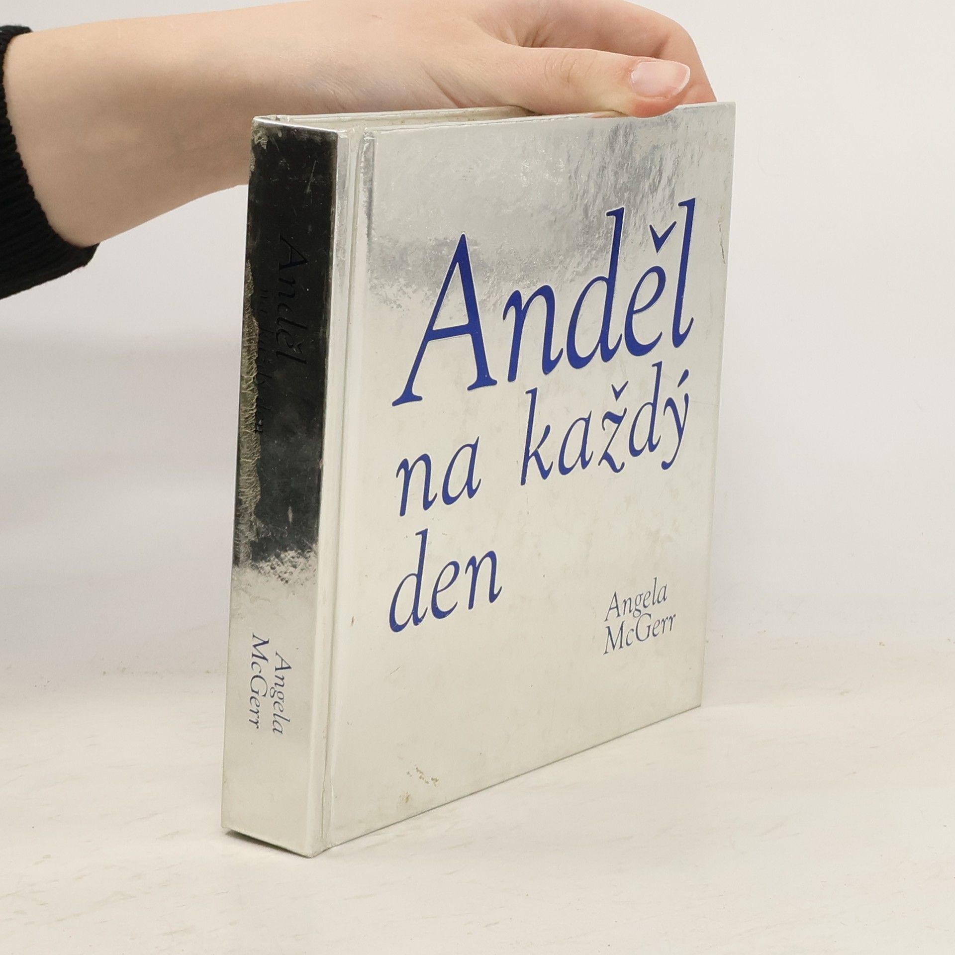 Angela McGerr Anděl na každý den