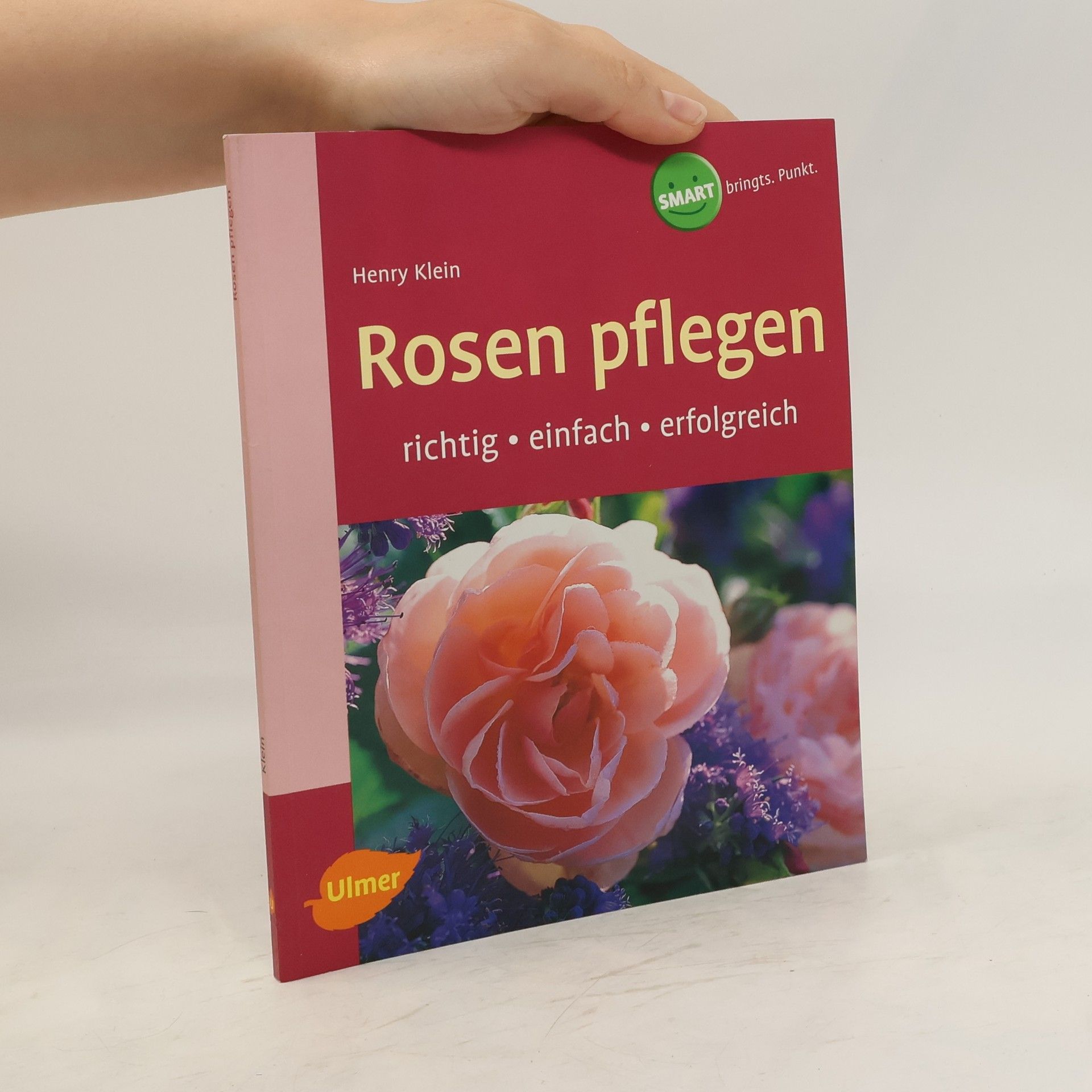 Henry Klein Rosen pflegen