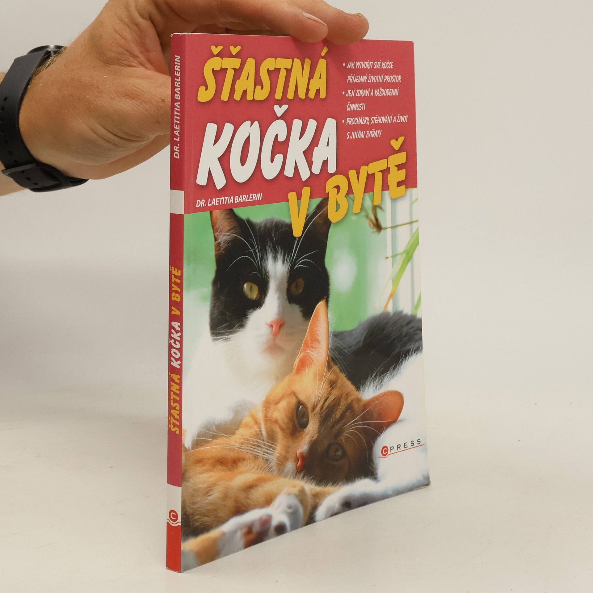 Šťastná kočka v bytě