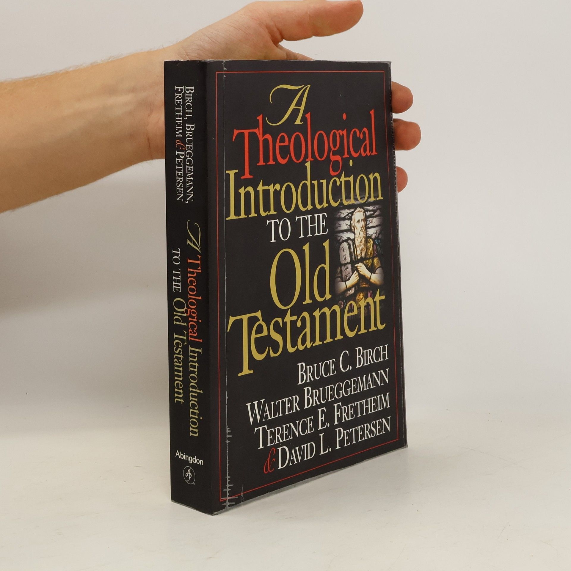 Bruce C Birch A Theological Introduction to the Old Testament