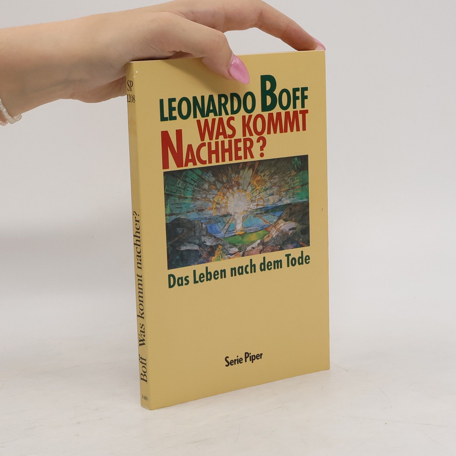Leonardo Boff Was kommt nachher?