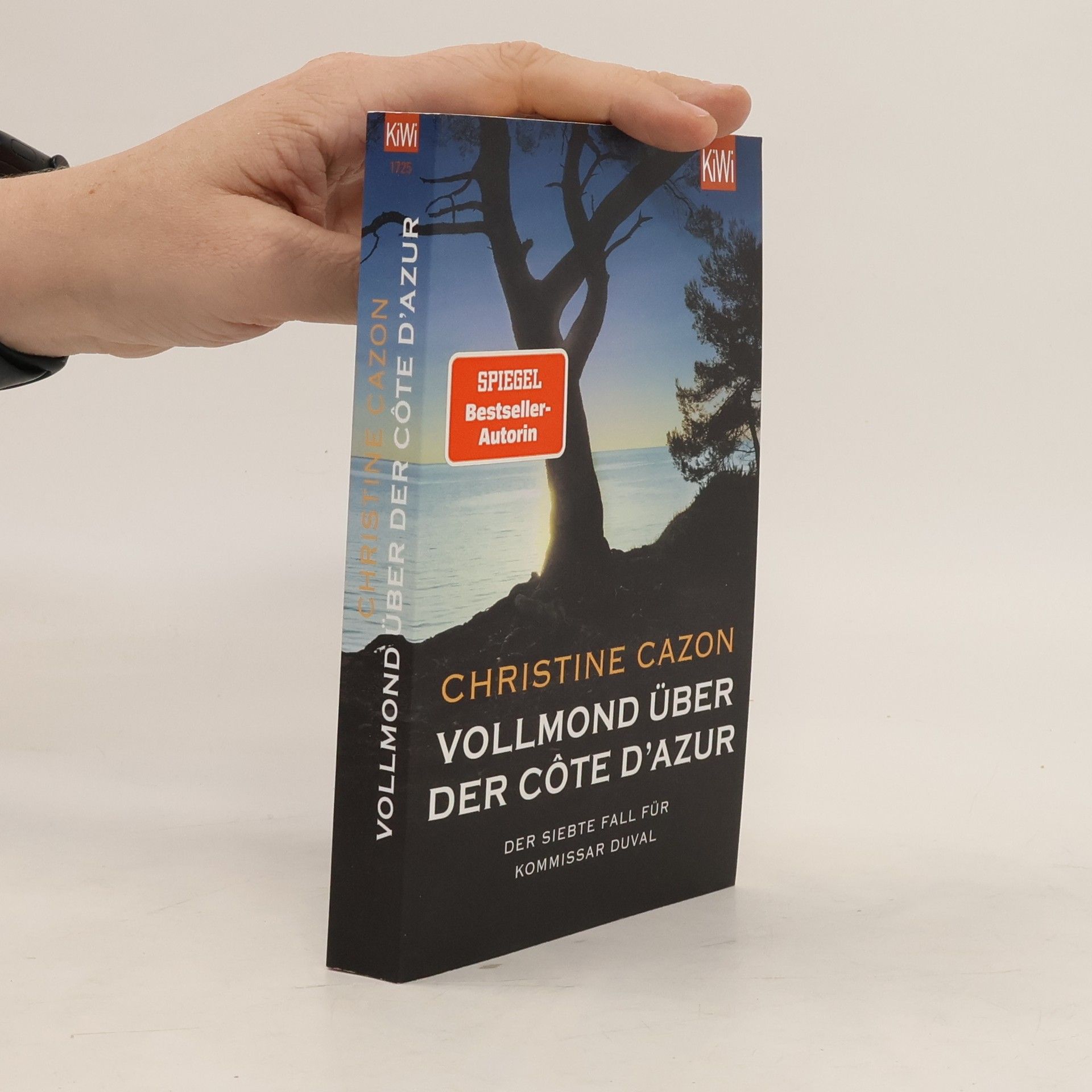 Christine Cazon Vollmond über der Côte d'Azur