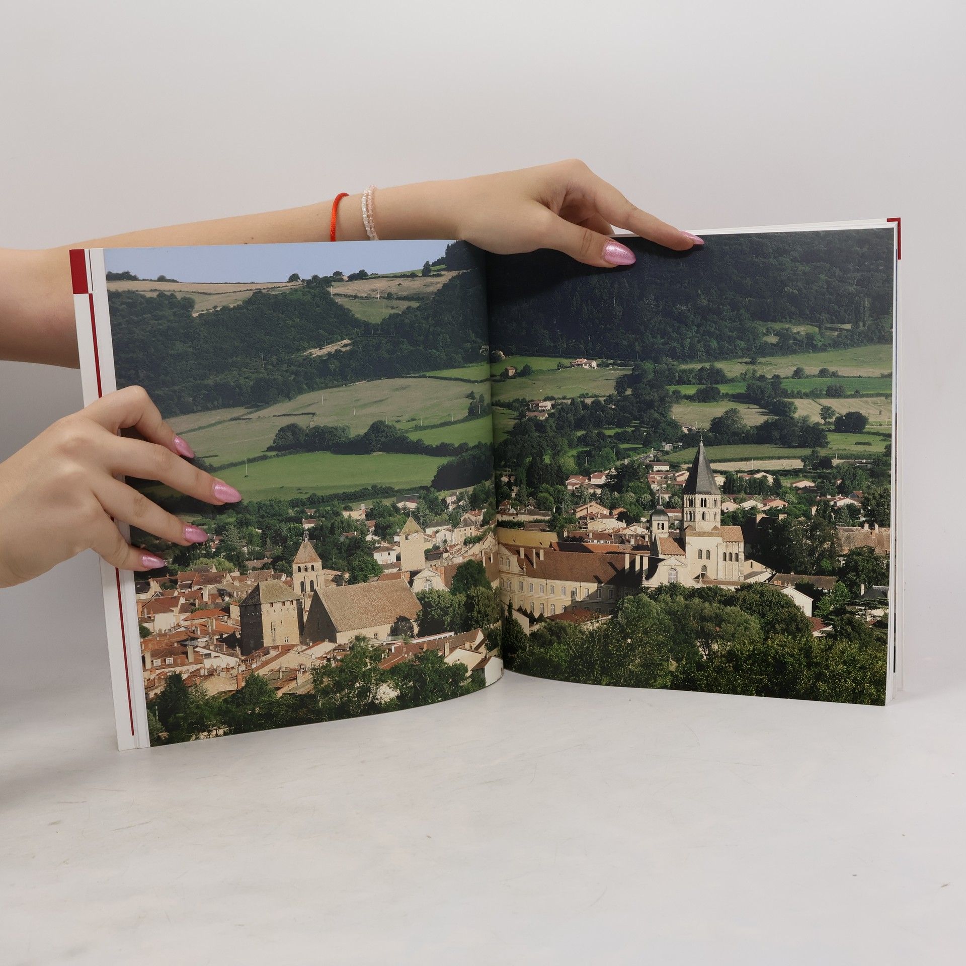 Frédéric Sartiaux Die Abtei Cluny