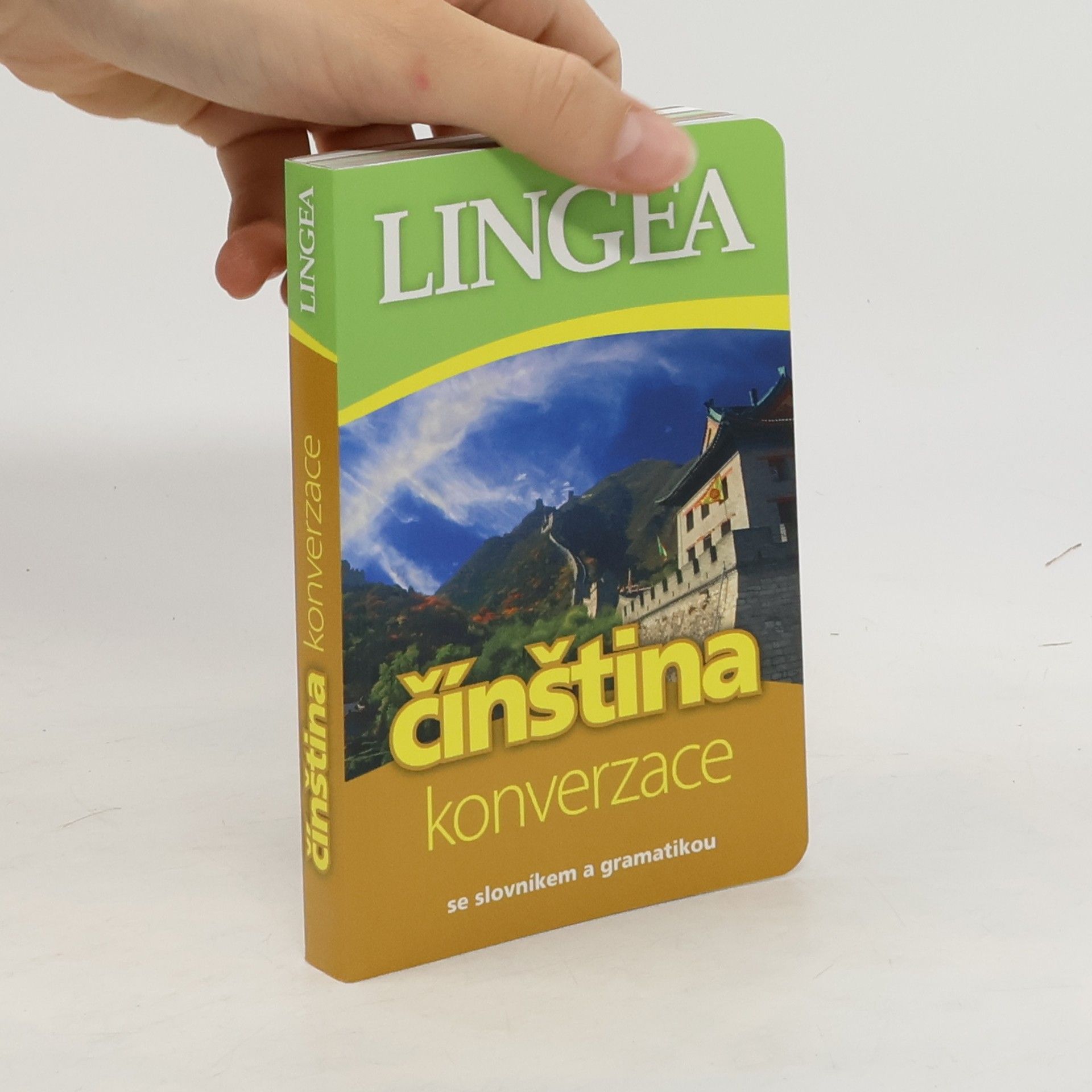 kolektiv Čínština: Konverzace: Se slovníkem a gramatikou