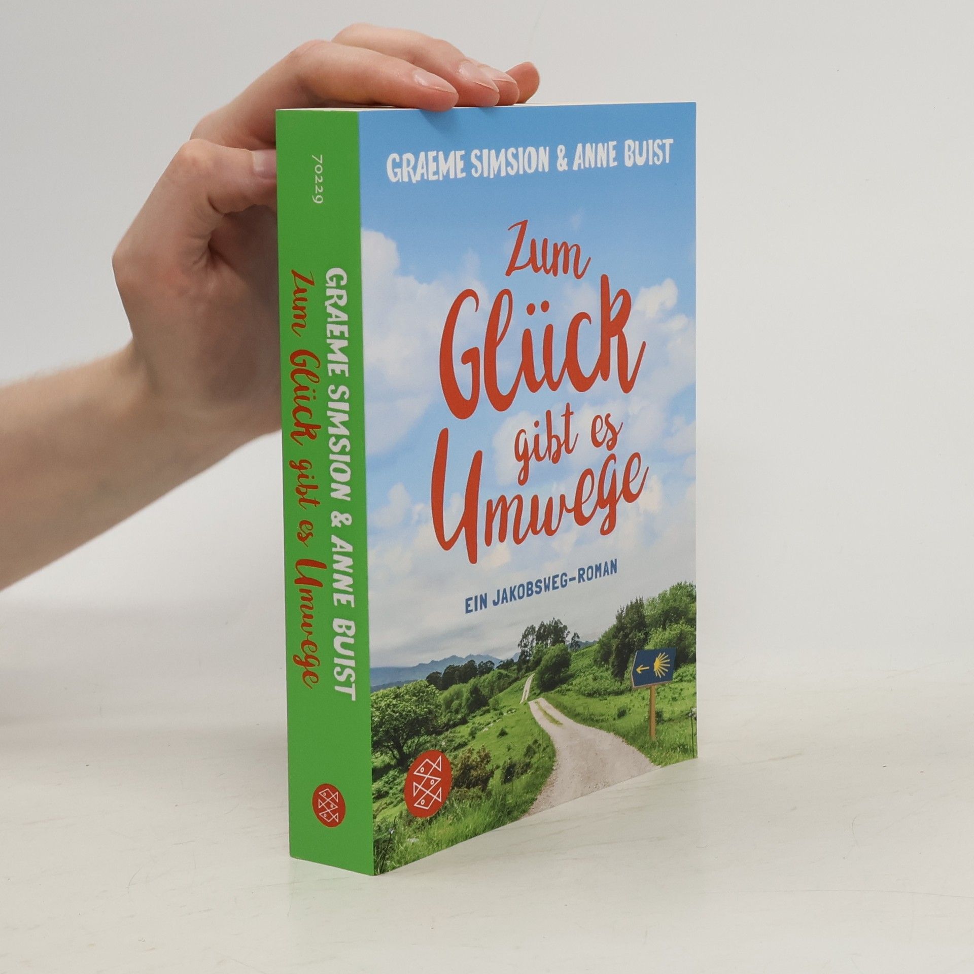 Graeme Simsion Zum Glück gibt es Umwege