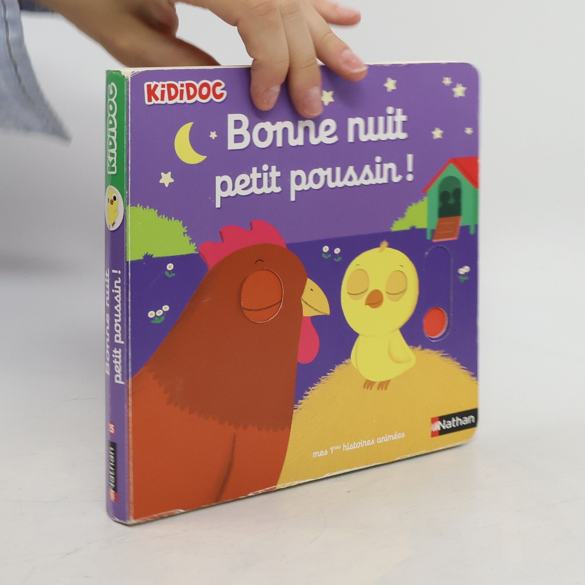 Nathalie Choux Bonne nuit petit poussin!