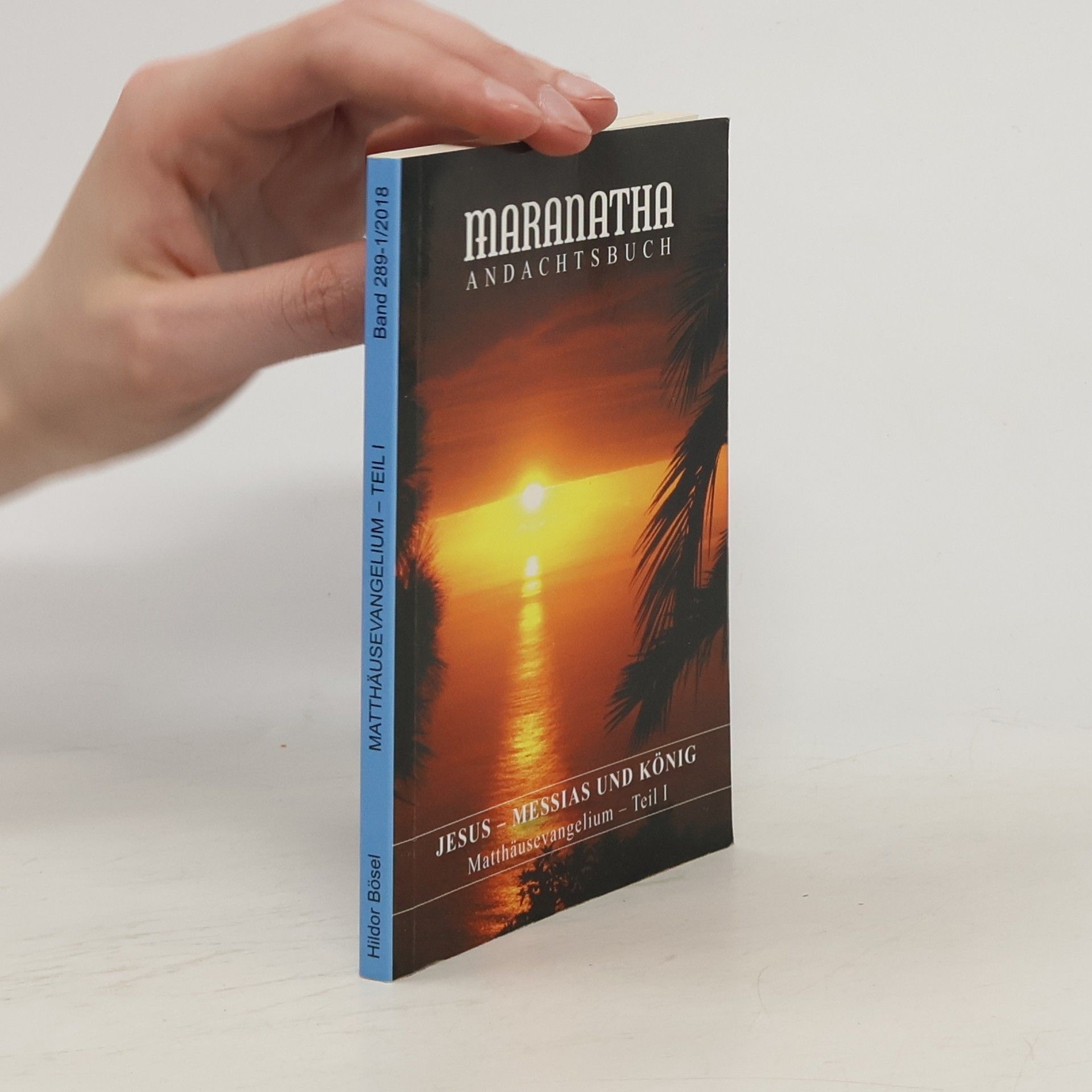 kolektiv Matthäusevangelium I.