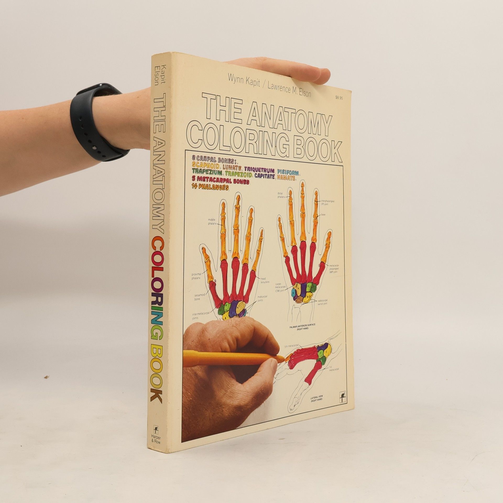 Wynn Kapit The Anatomy Coloring Book