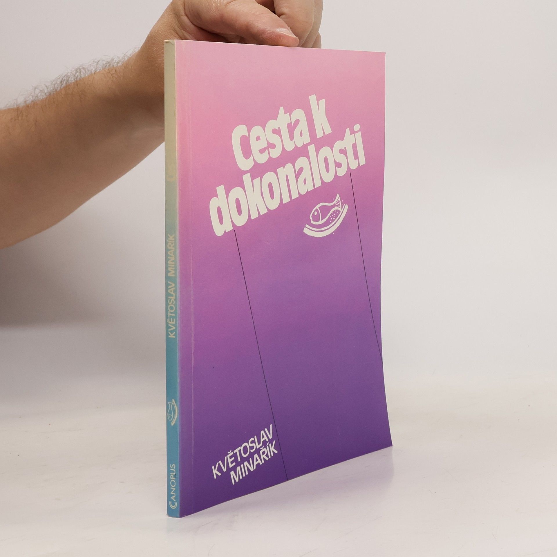 Květoslav Minařík Cesta k dokonalosti