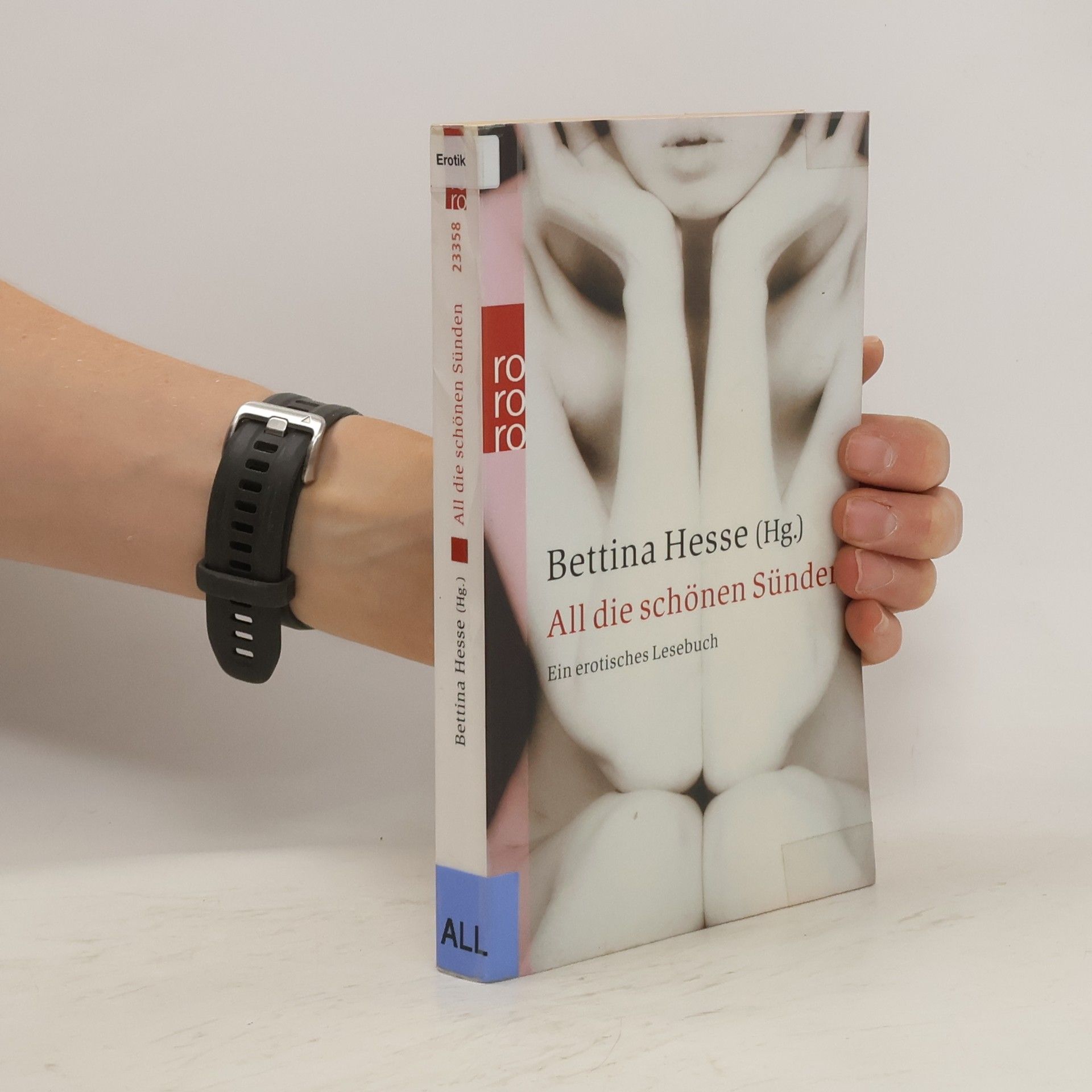 Bettina Hesse All die schönen Sünden