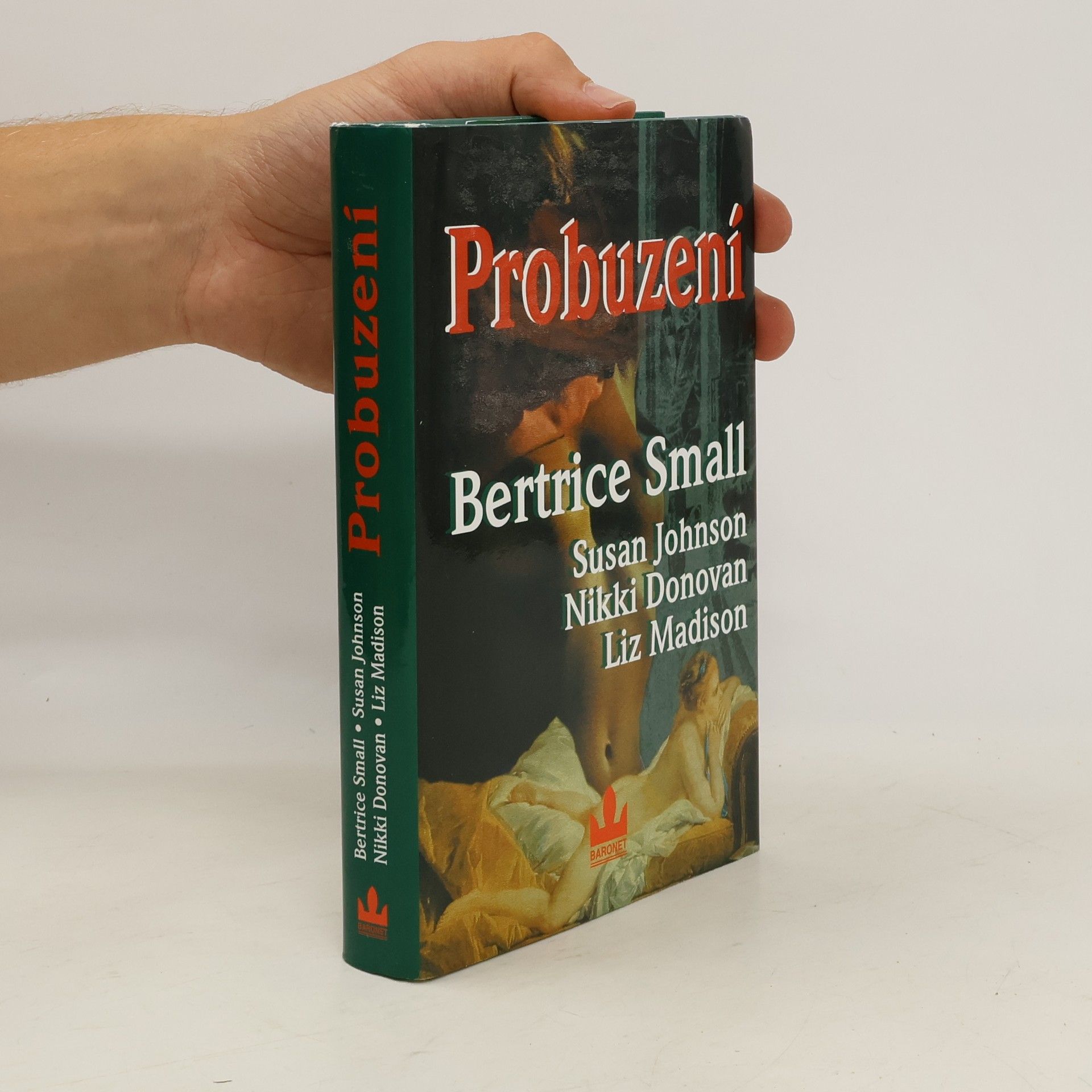 Bertrice Small Probuzení