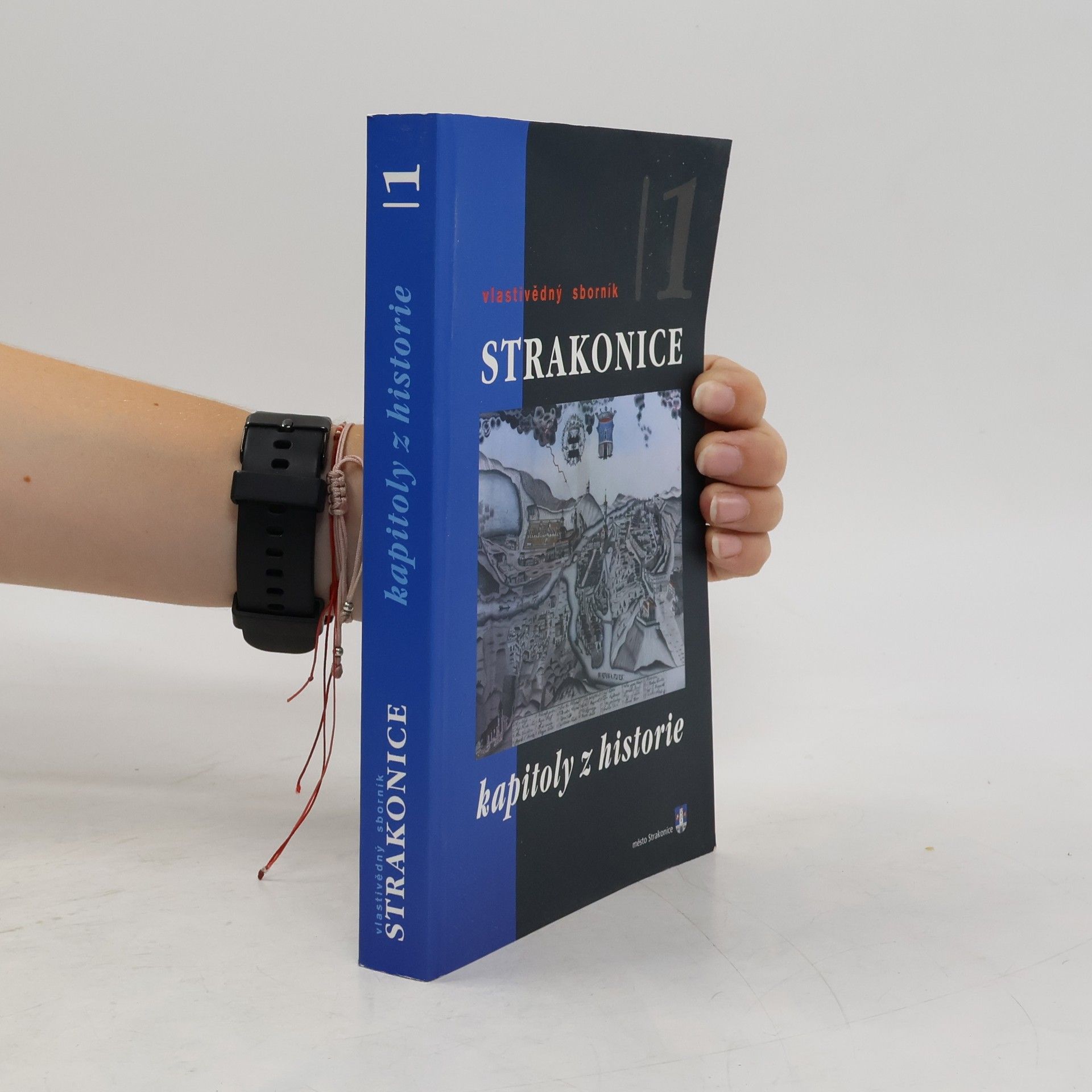 Ivana Parkosová Strakonice : vlastivědný sborník, díl 1 : kapitoly z historie