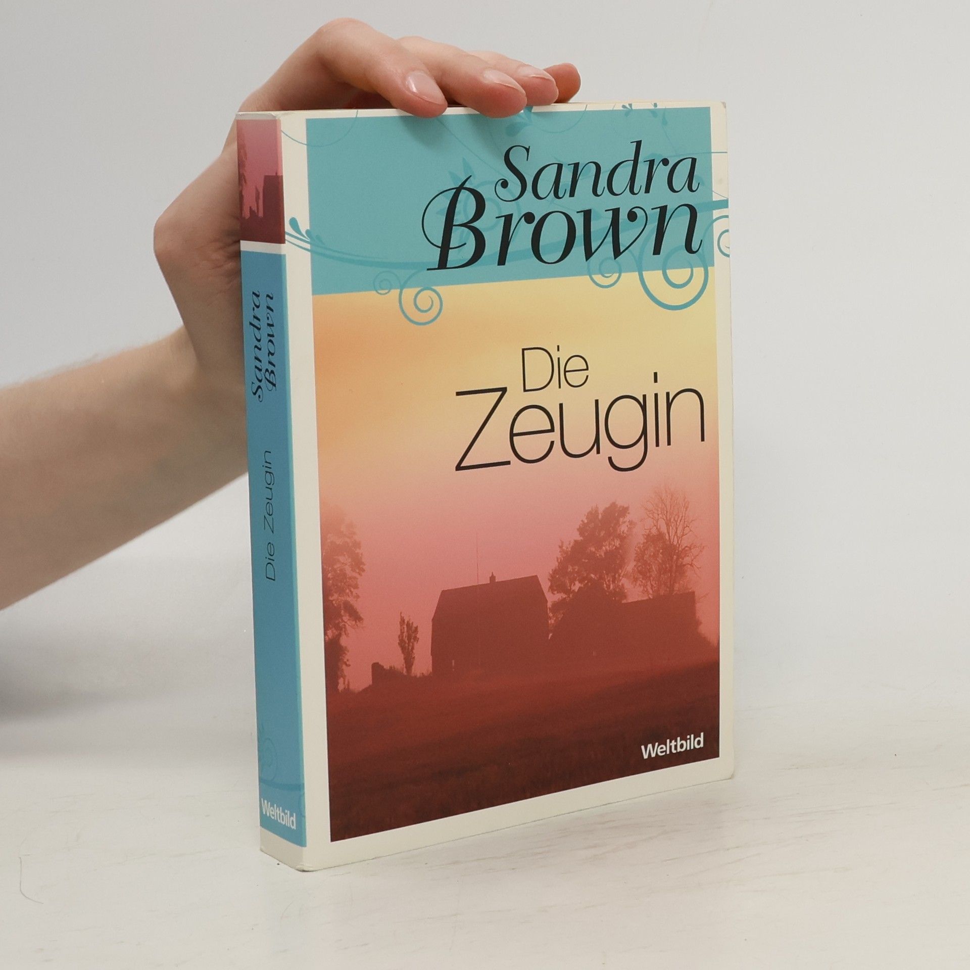 Sandra Brown Die Zeugin