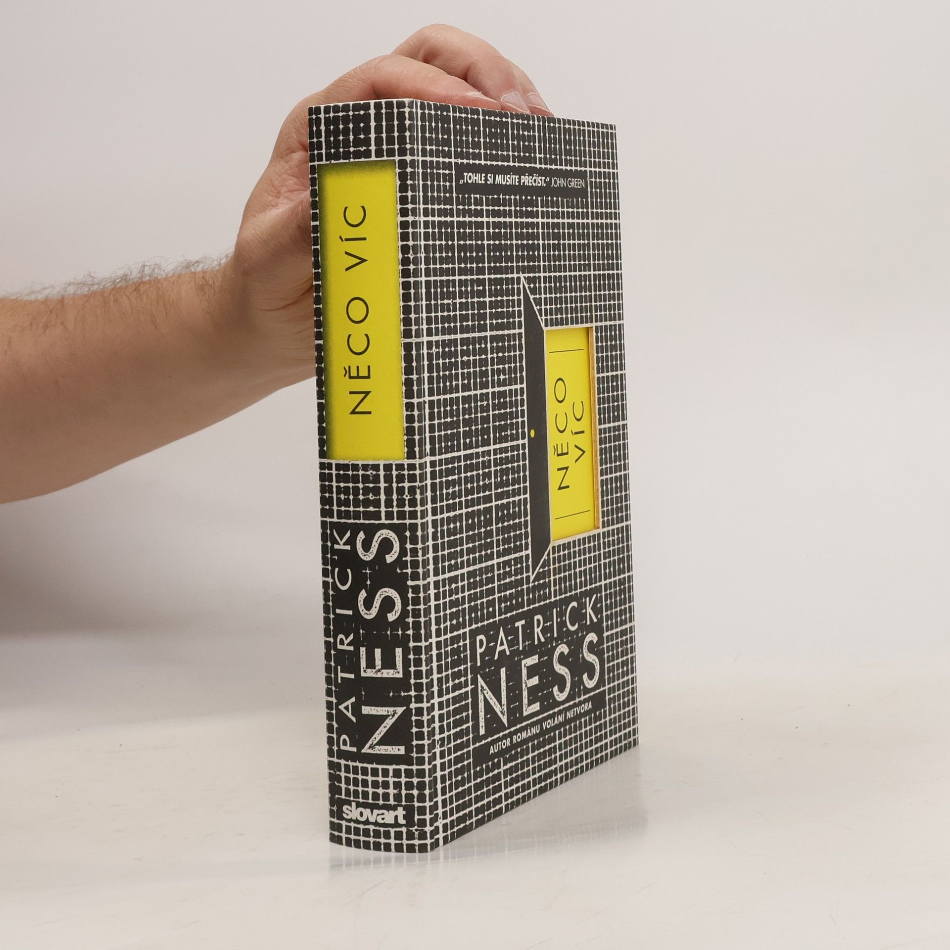 Patrick Ness Něco víc