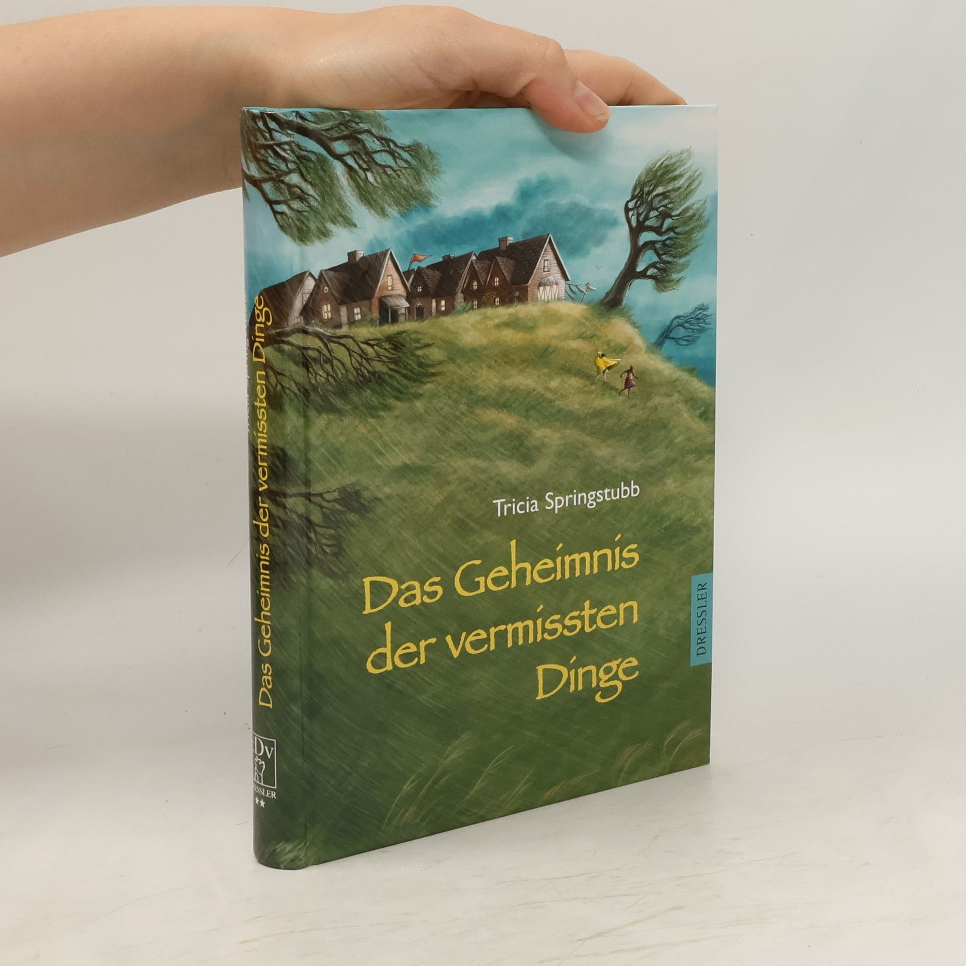 Tricia Springstubb Das Geheimnis der vermissten Dinge