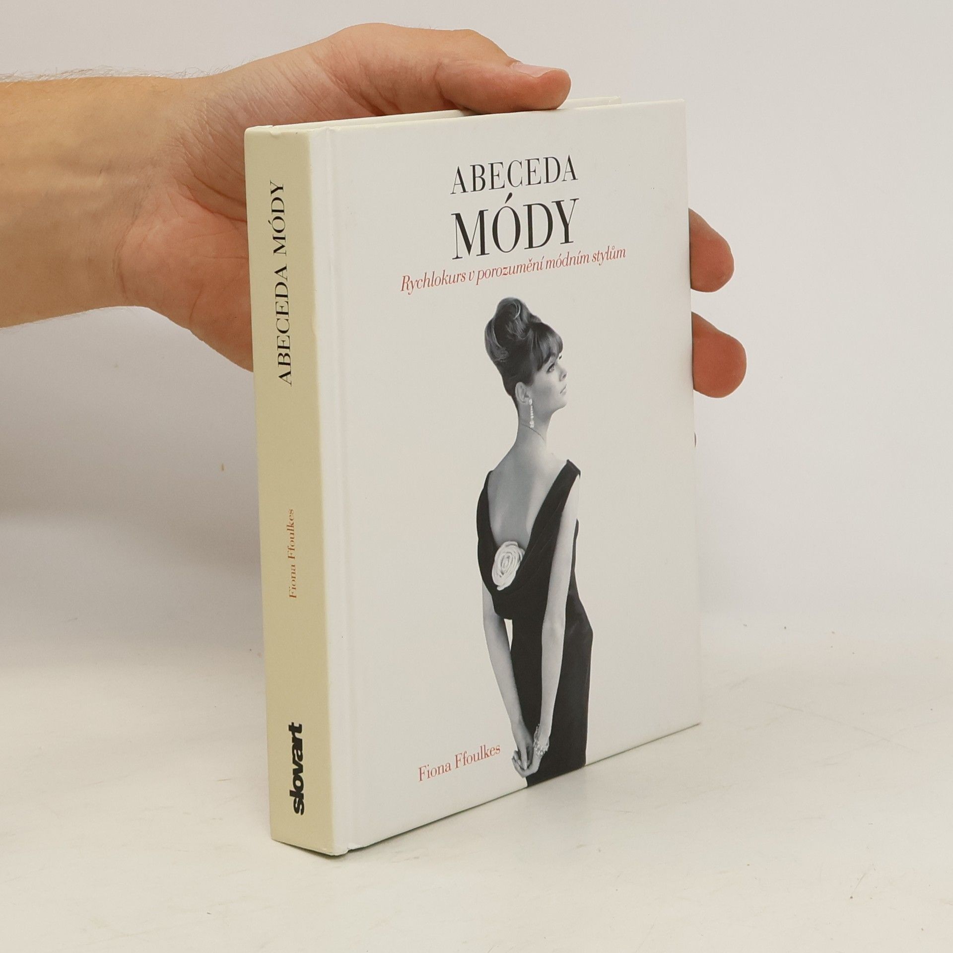 Fiona Ffoulkes Abeceda módy: Rychlokurs v porozumění módním stylům