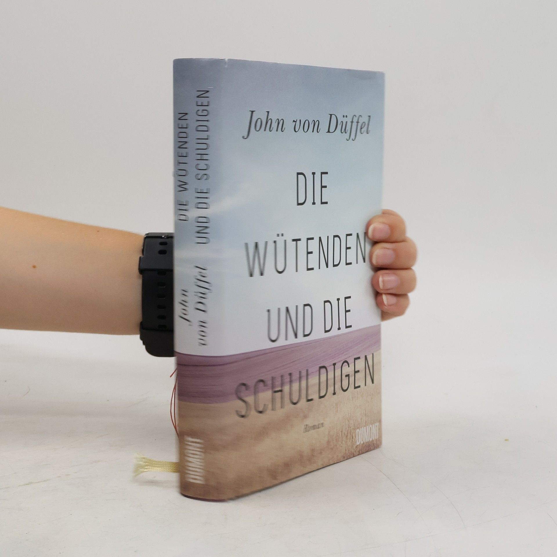 John Düffel Die Wütenden und die Schuldigen : Roman