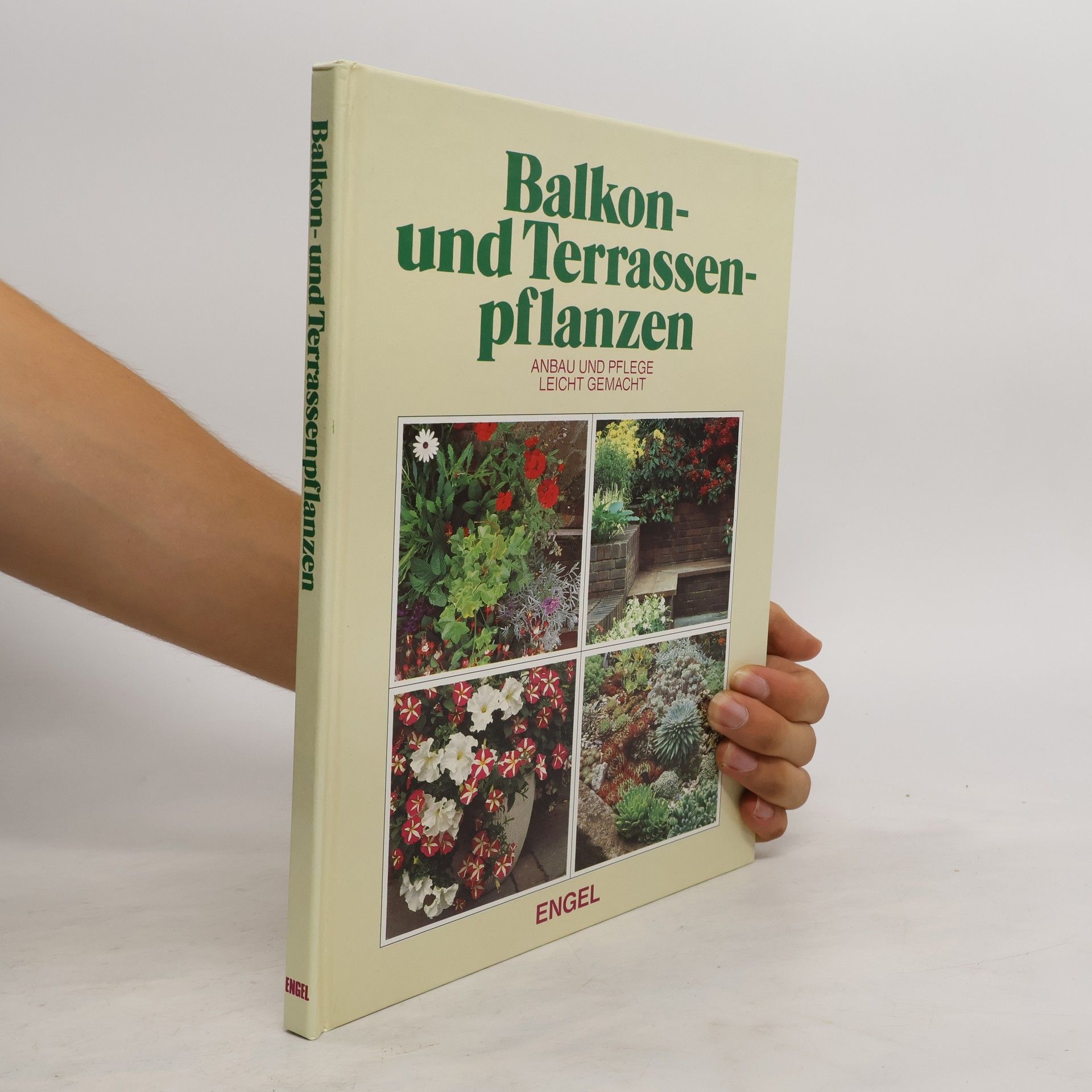 kolektiv Balkon und Terrassenpflanzen