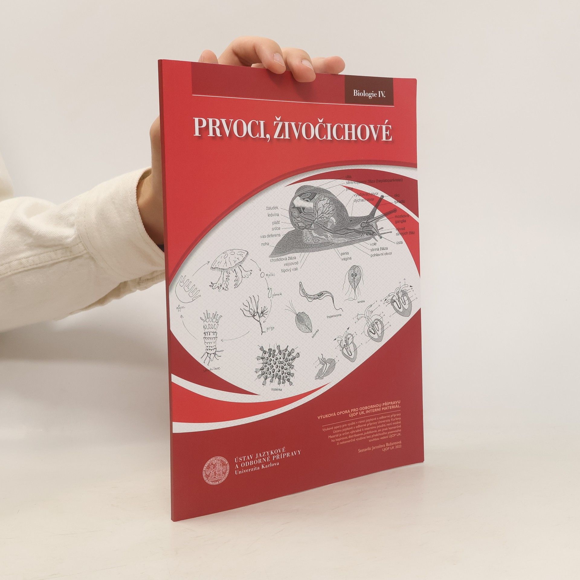 Jaroslava Bažantová Biologie IV