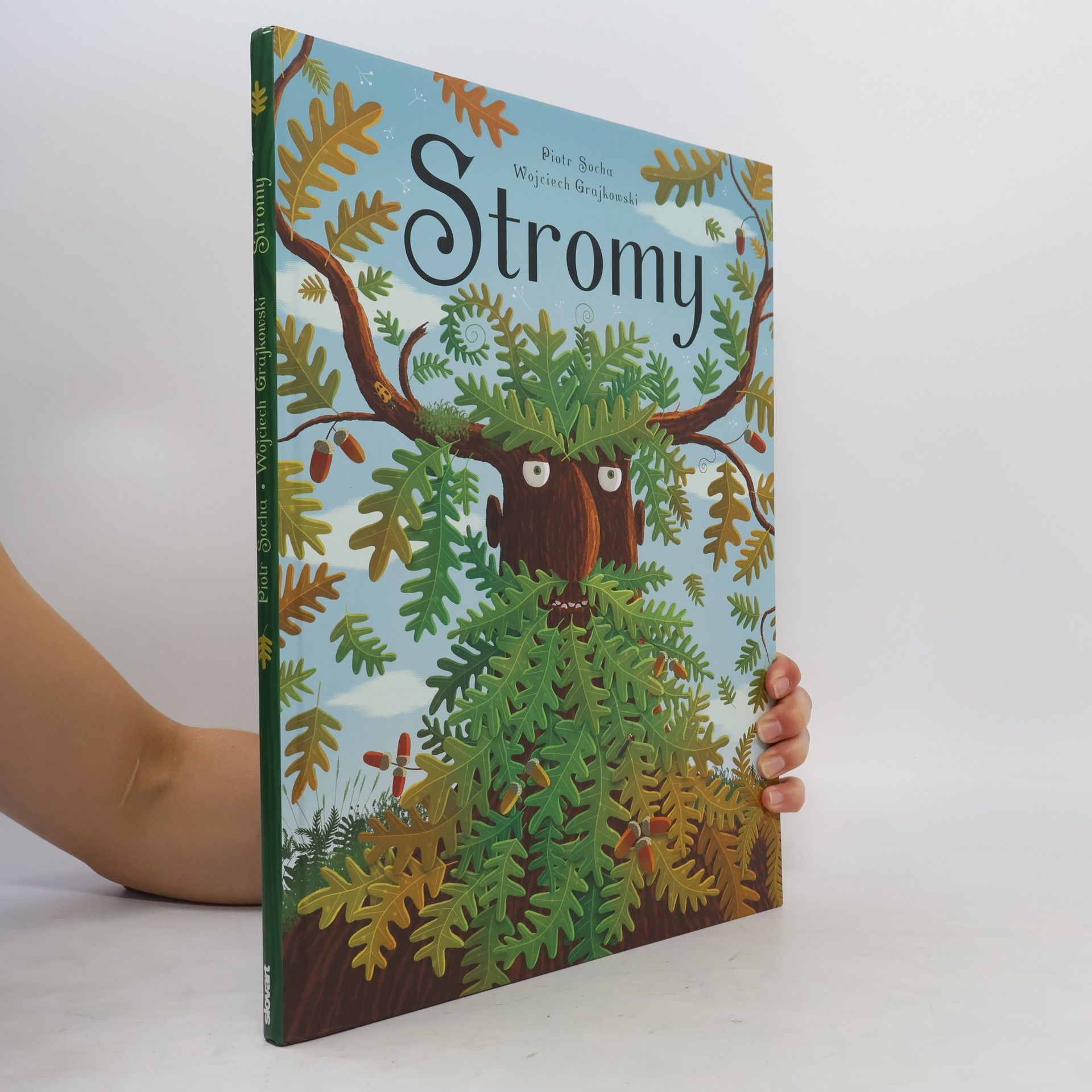 Piotr Socha Stromy