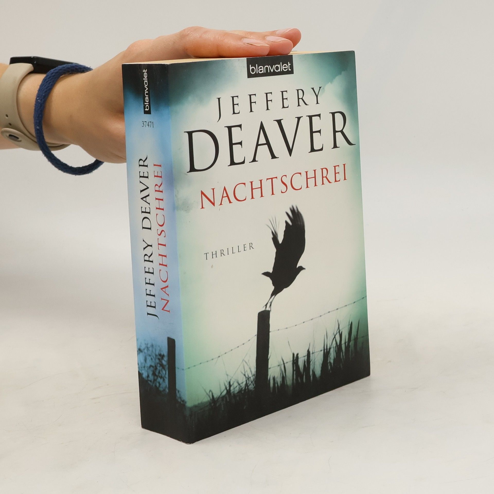 Jeffery Deaver Nachtschrei