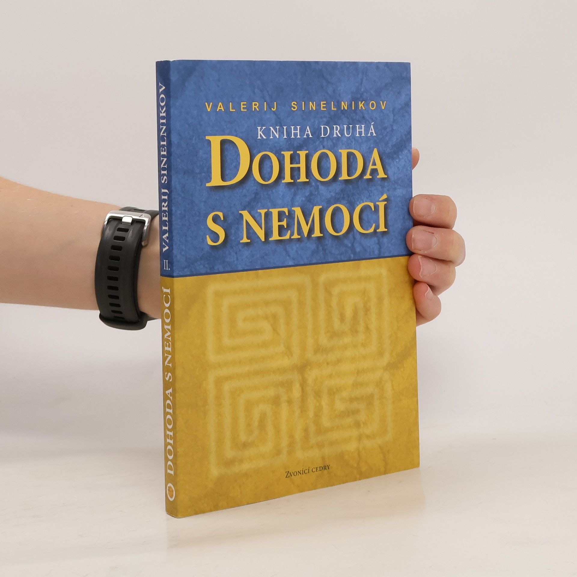 Valerij Vladimirovič Sinel‘nikov Dohoda s nemocí. Kniha druhá