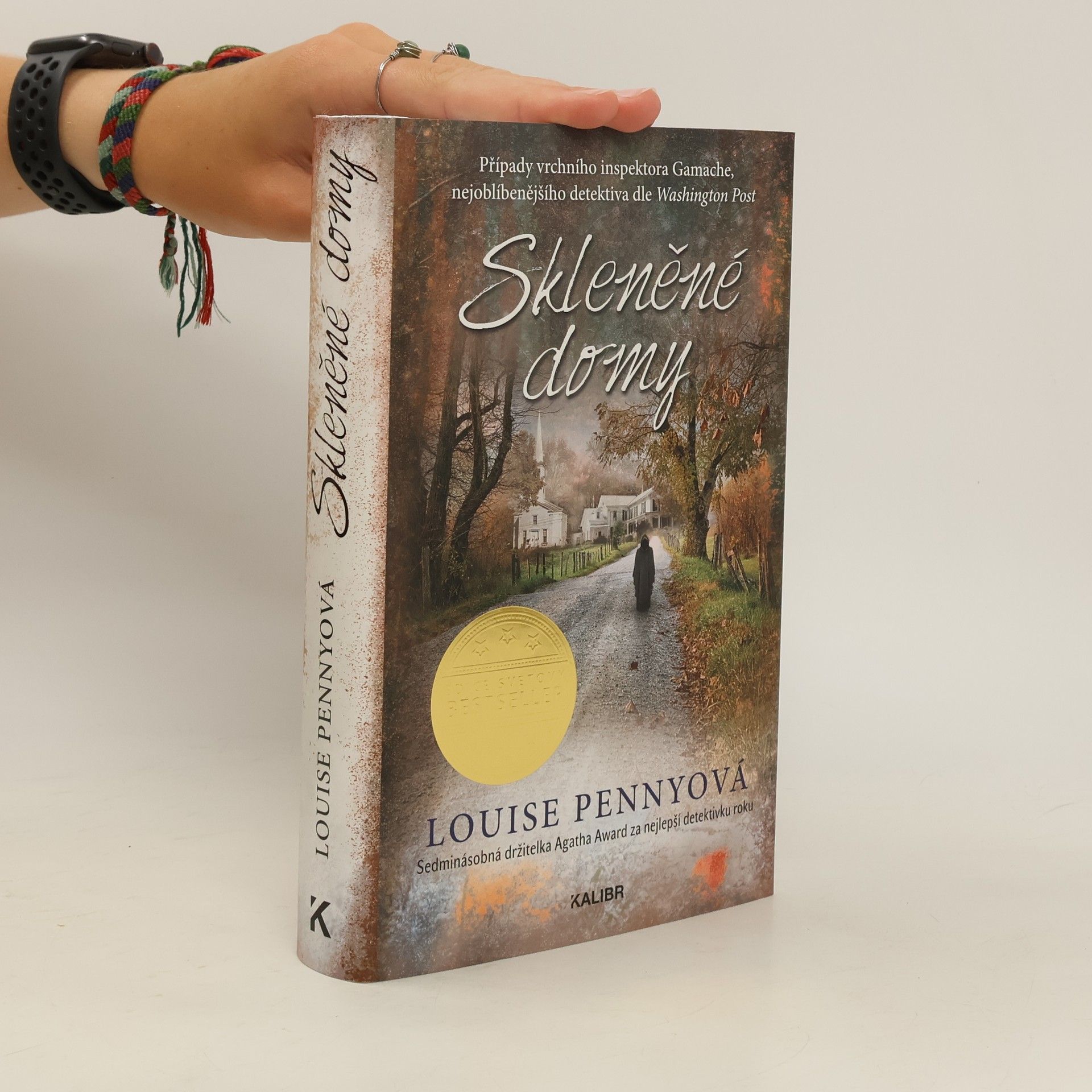 Louise Penny Skleněné domy : případy vrchního inspektora Gamache