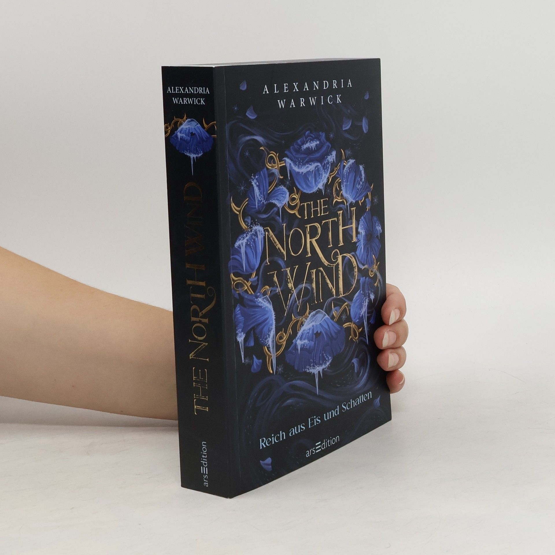 Alexandria Warwick The North Wind - Reich aus Eis und Schatten