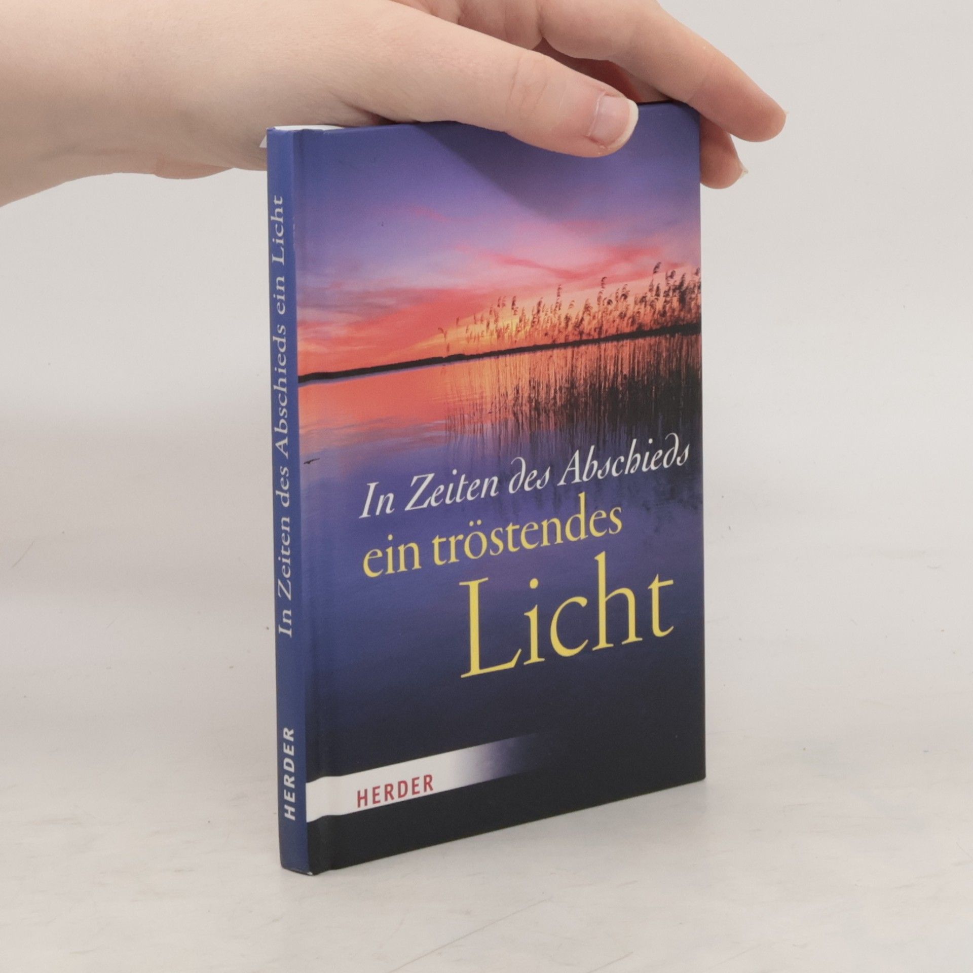 Collectif d'auteurs In Zeiten des Abschieds ein tröstendes Licht