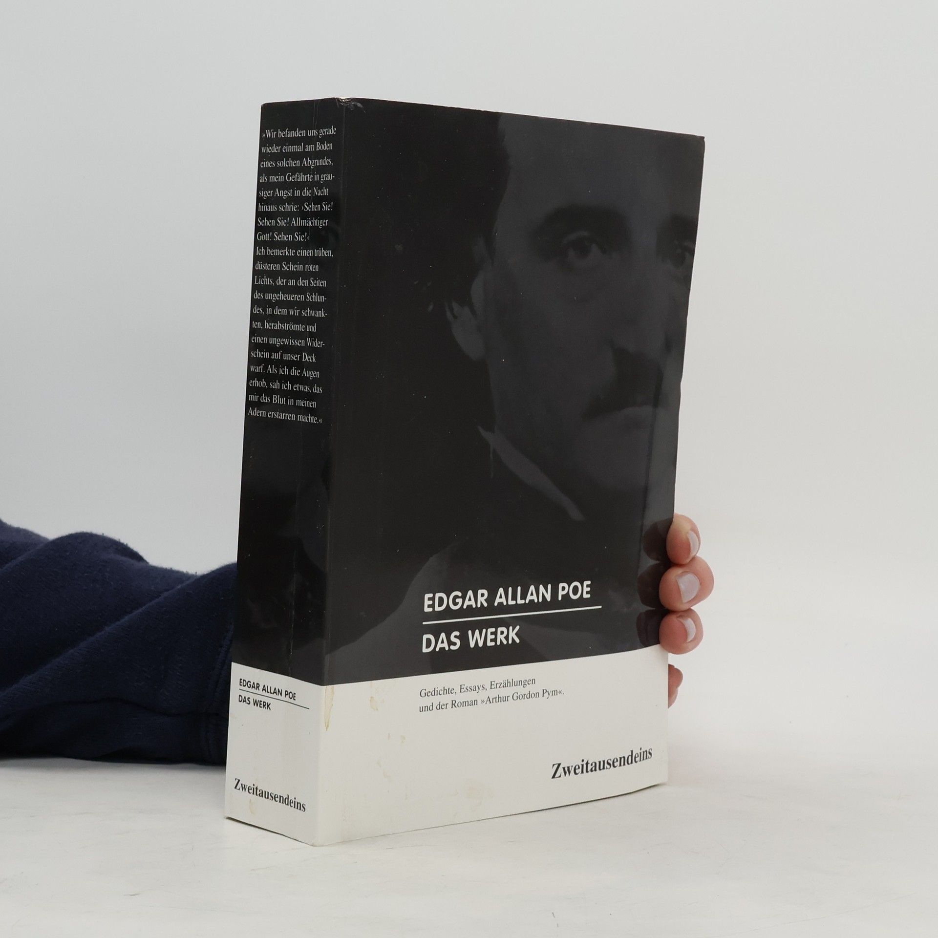 Edgar Allan Poe Das Werk. Gedichte, Essays, Erzählungen und der Roman „Arthur Gordon Pym“.