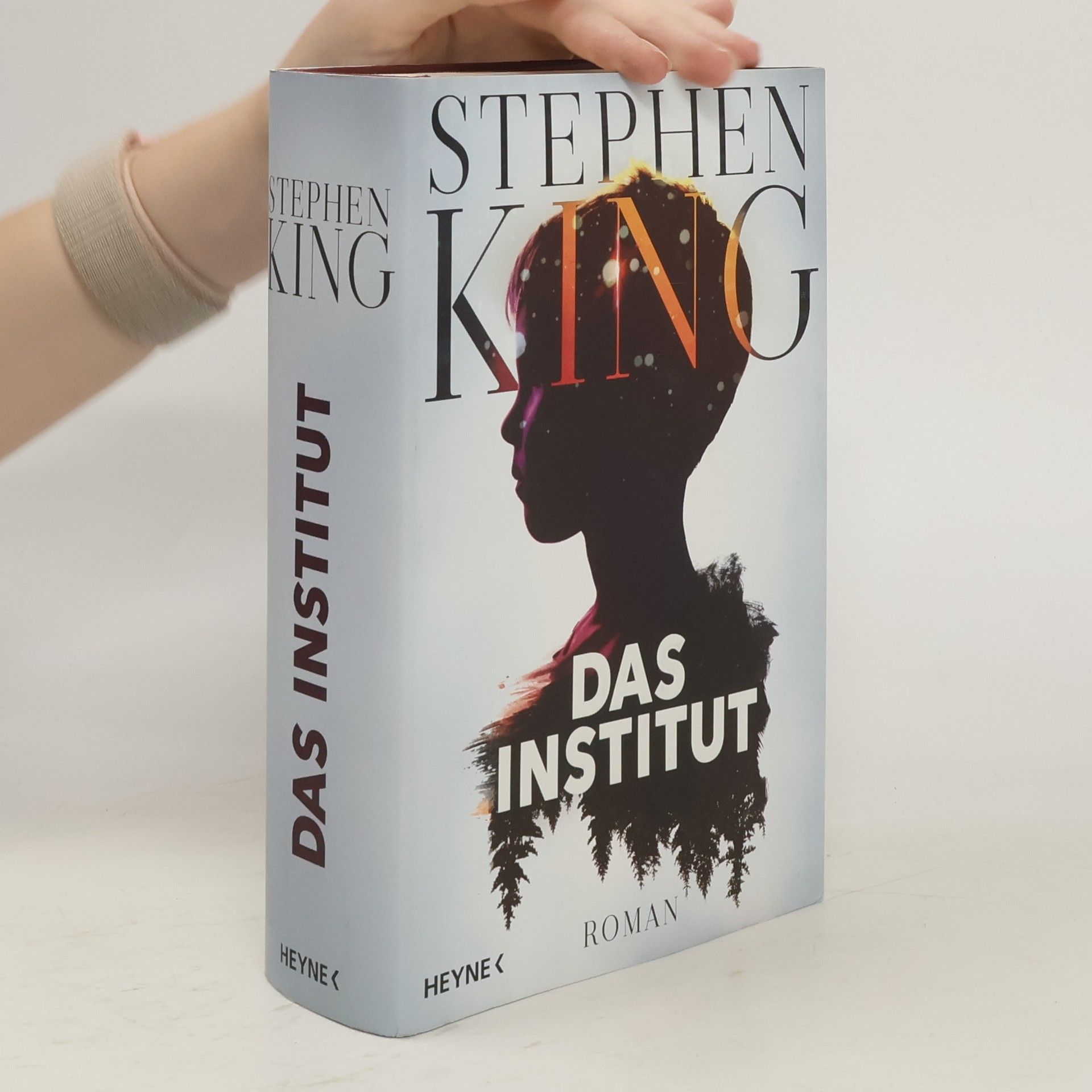 Stephen King Das Institut