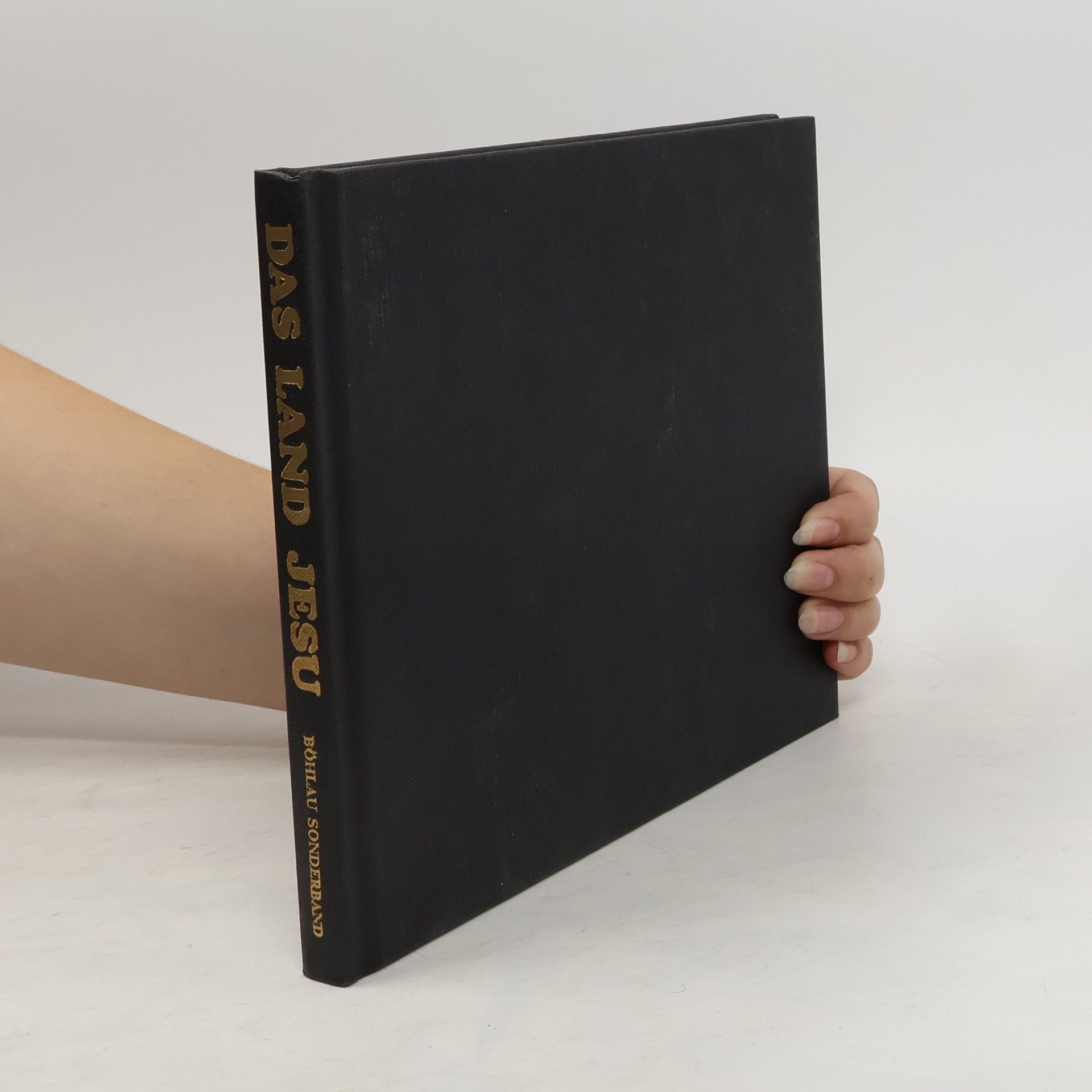 Jean Roger Das Land Jesu