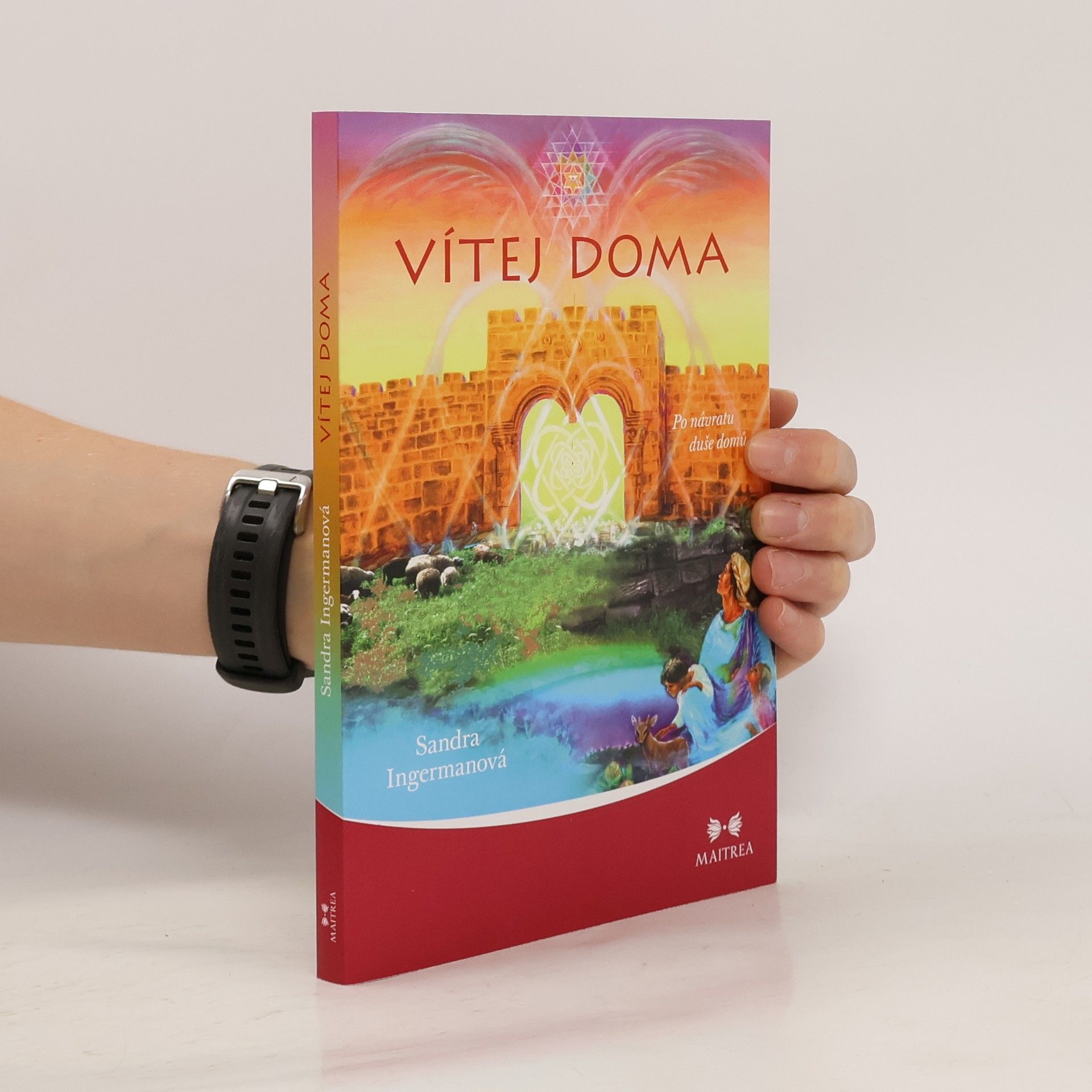 Sandra Ingerman Vítej doma - Po návratu duše domů