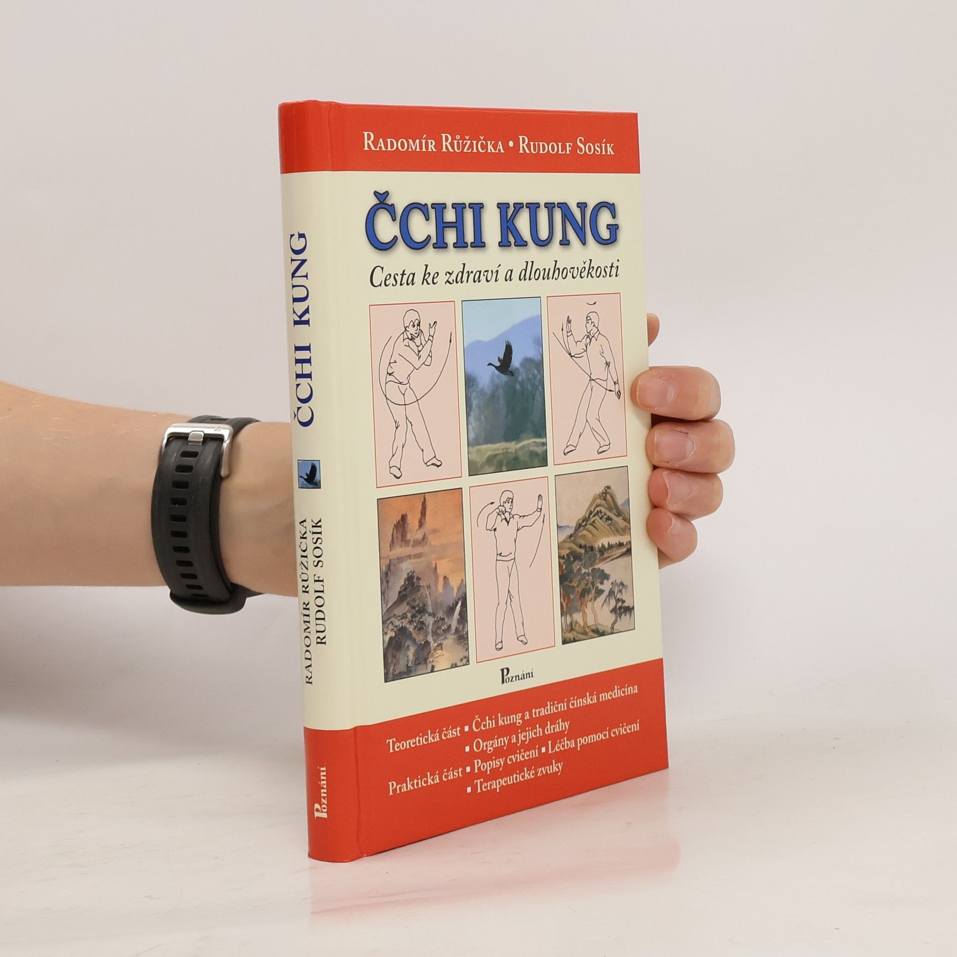 Radomír Růžička Čchi kung. Cesta ke zdraví a dlouhověkosti