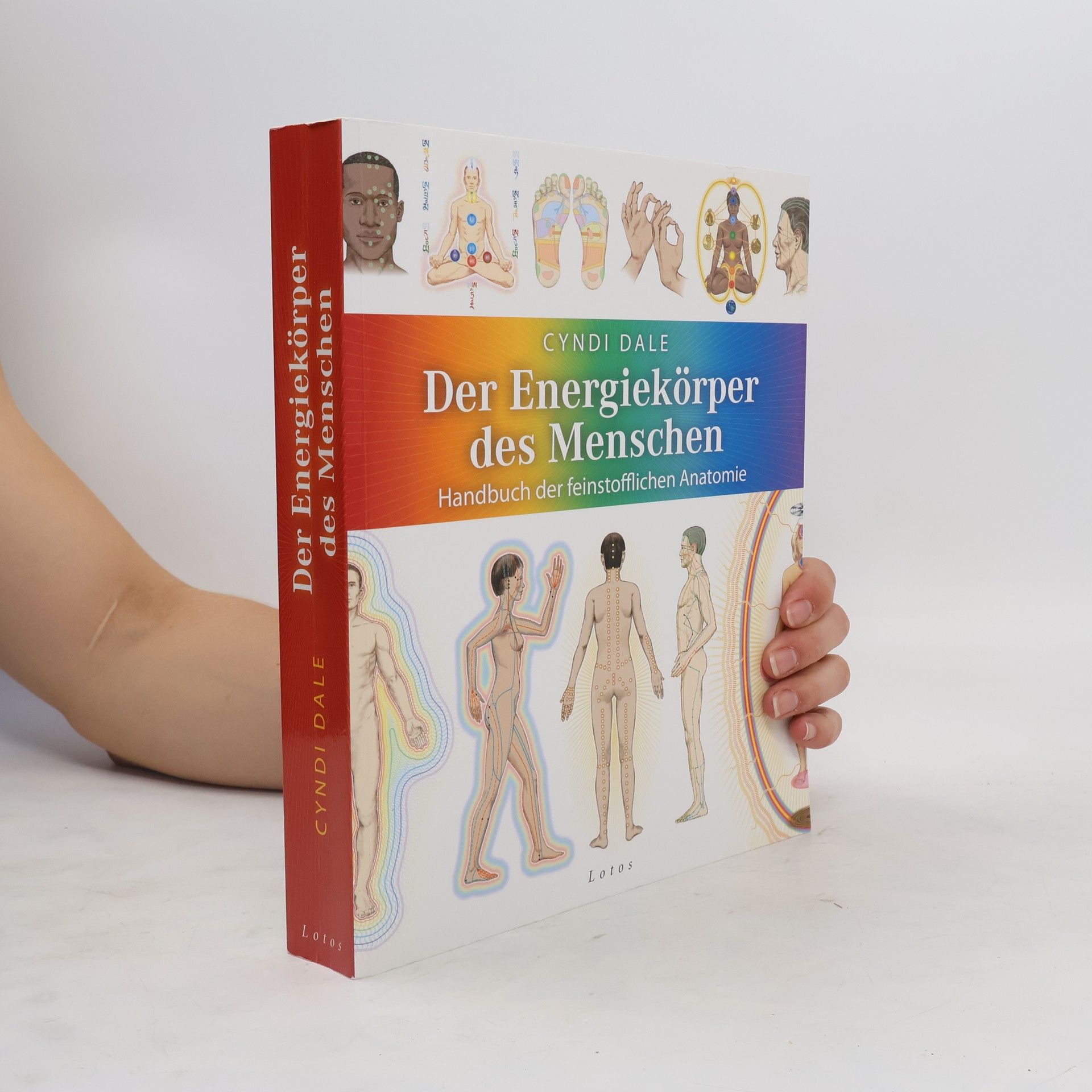 Cyndi Dale Der Energiekörper des Menschen