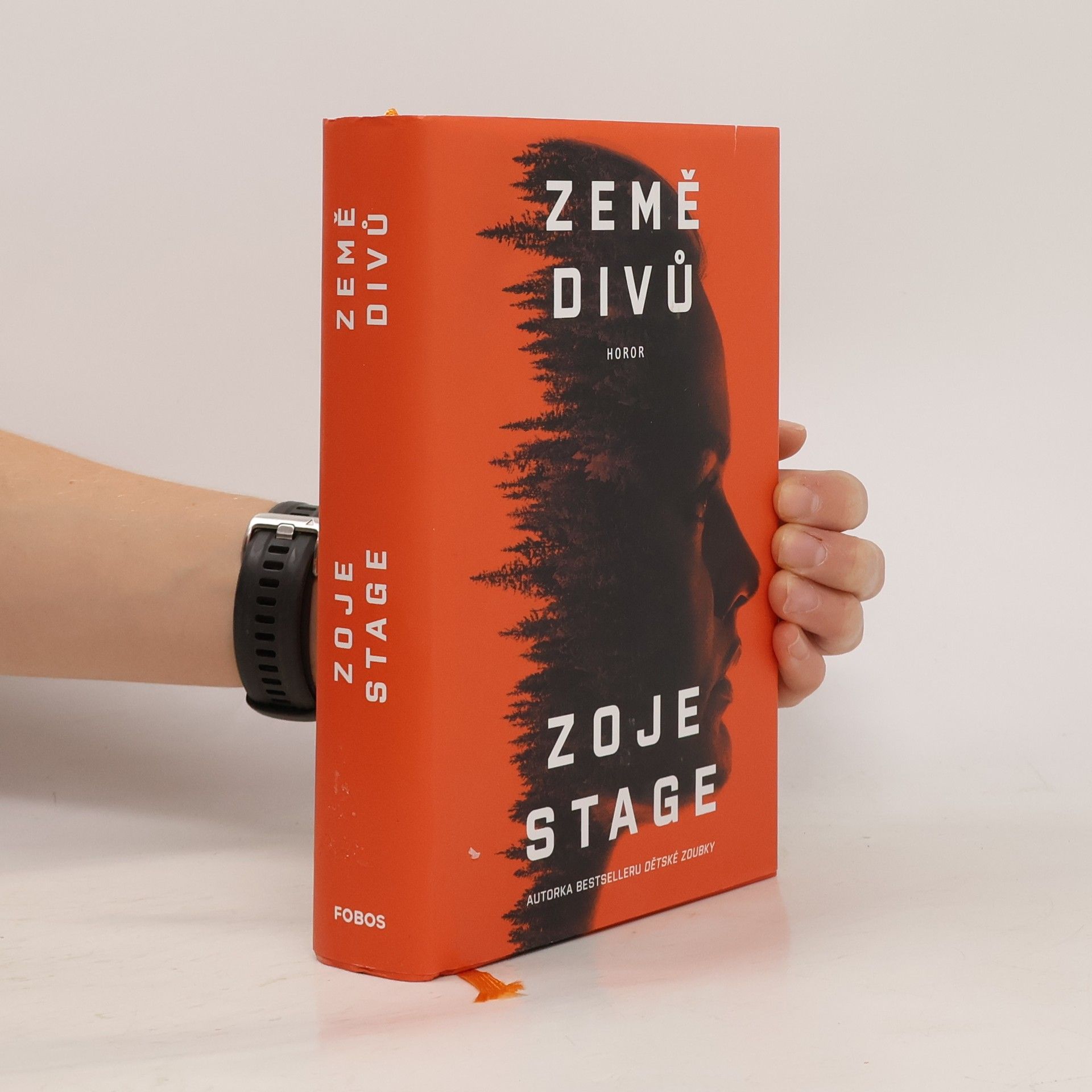 Zoje Stage Země divů