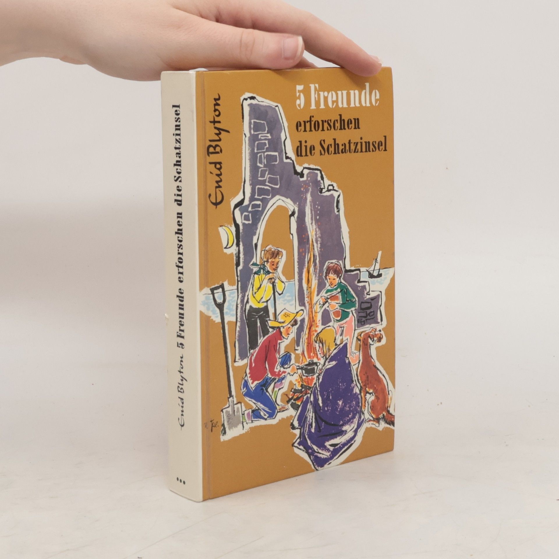 Enid Blyton 5 Freunde erforschen die Schatzinsel