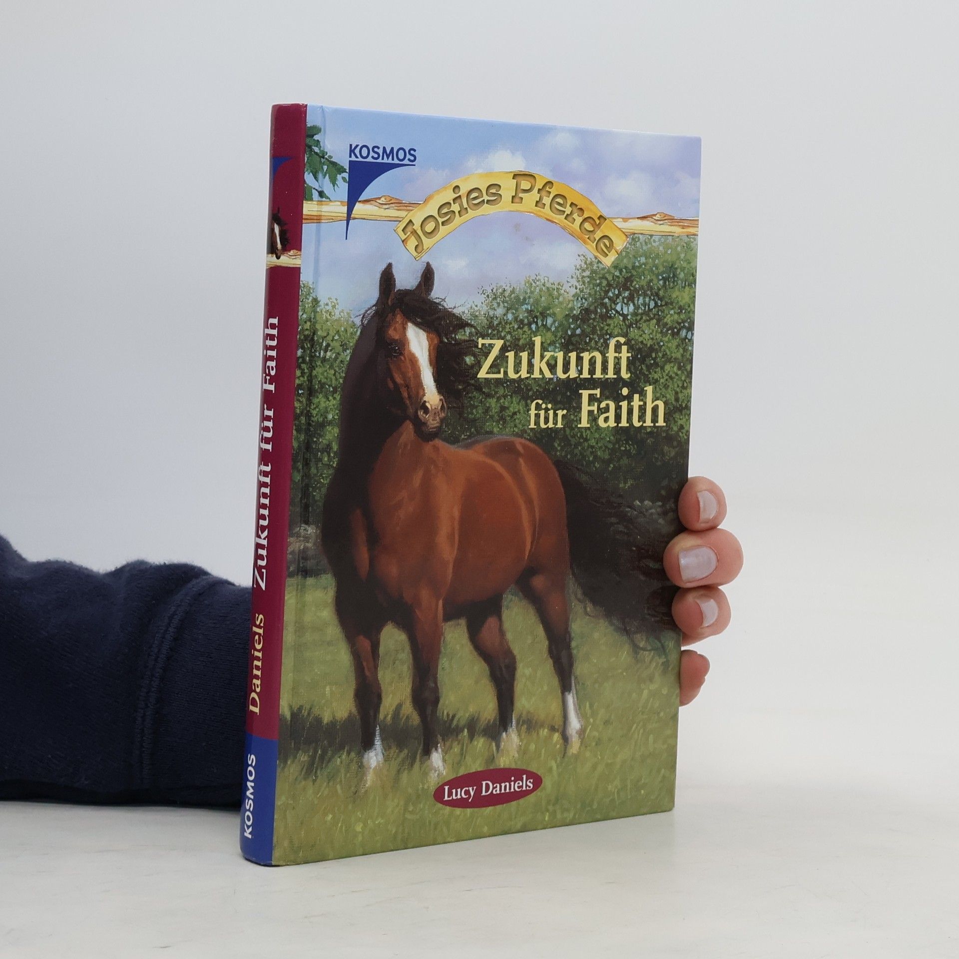 Lucy Daniels Zukunft für Faith