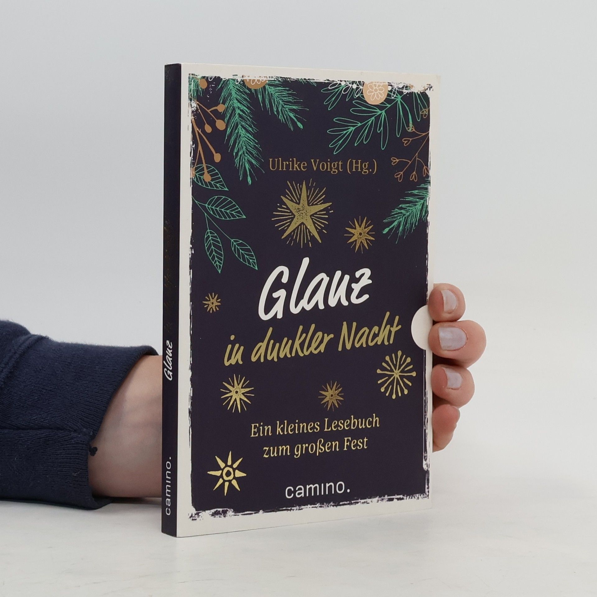 Ulrike Voigt Glanz in dunkler Nacht