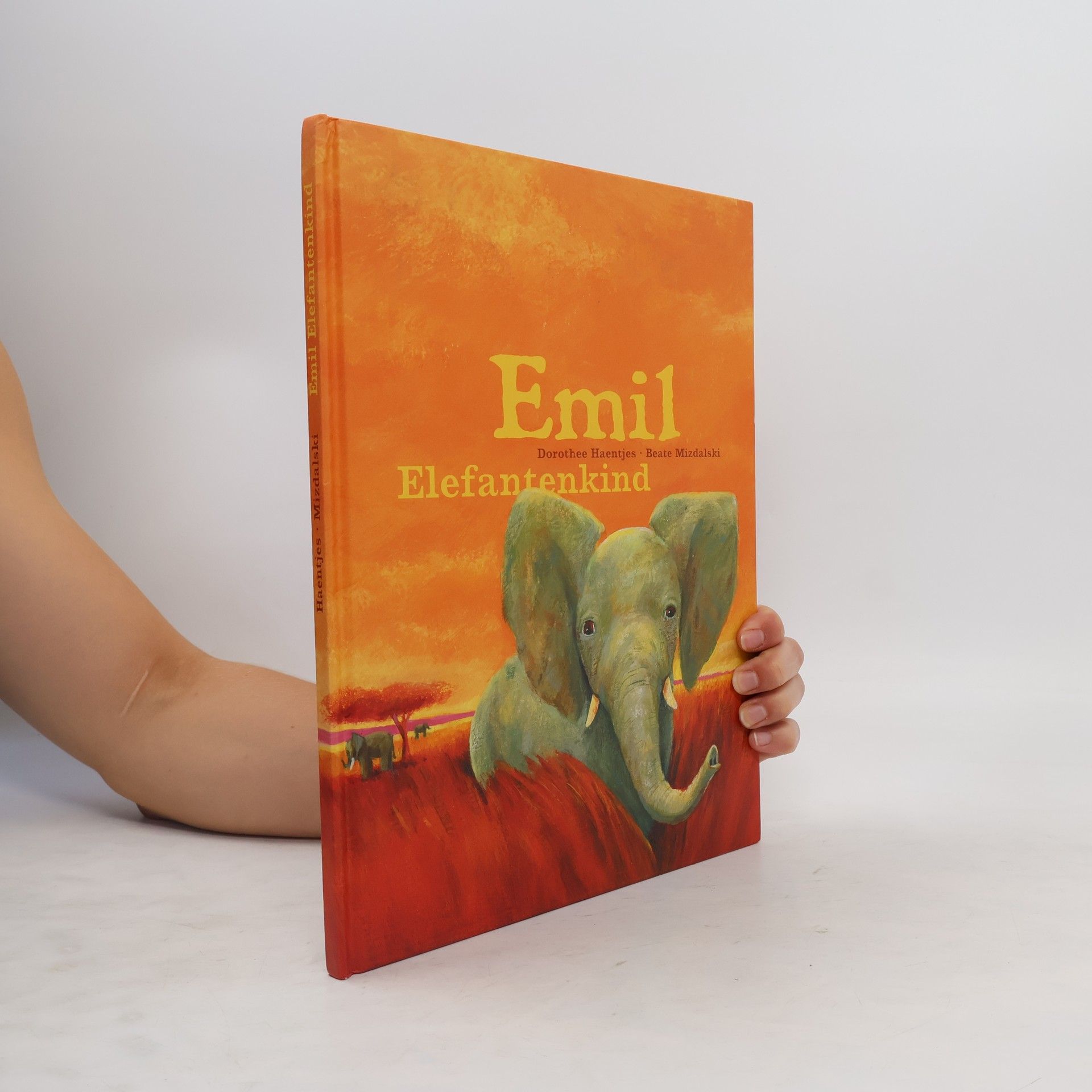 Beate Mizdalski Emil Elefantenkind